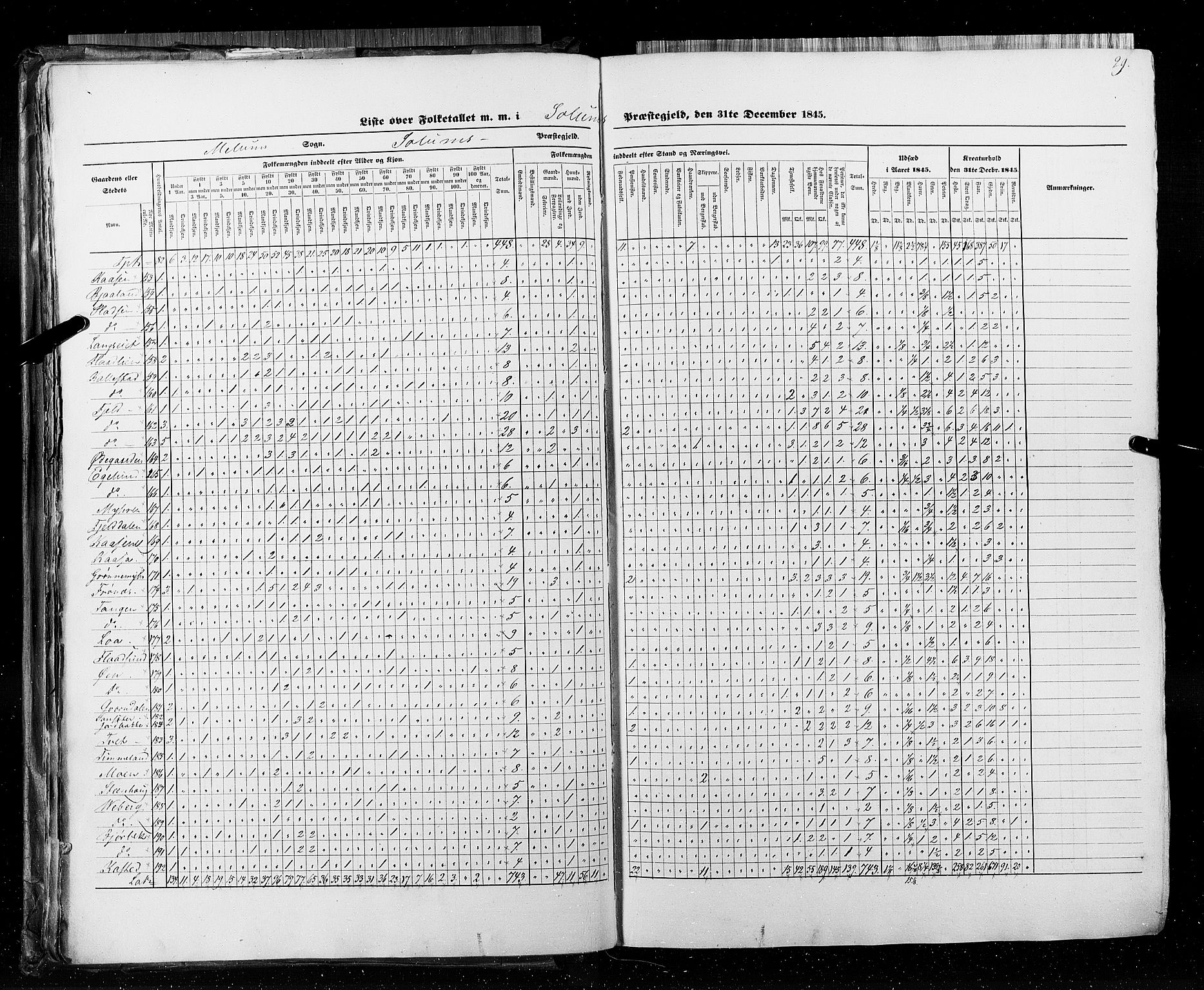 RA, Census 1845, vol. 5: Bratsberg amt og Nedenes og Råbyggelaget amt, 1845, p. 29