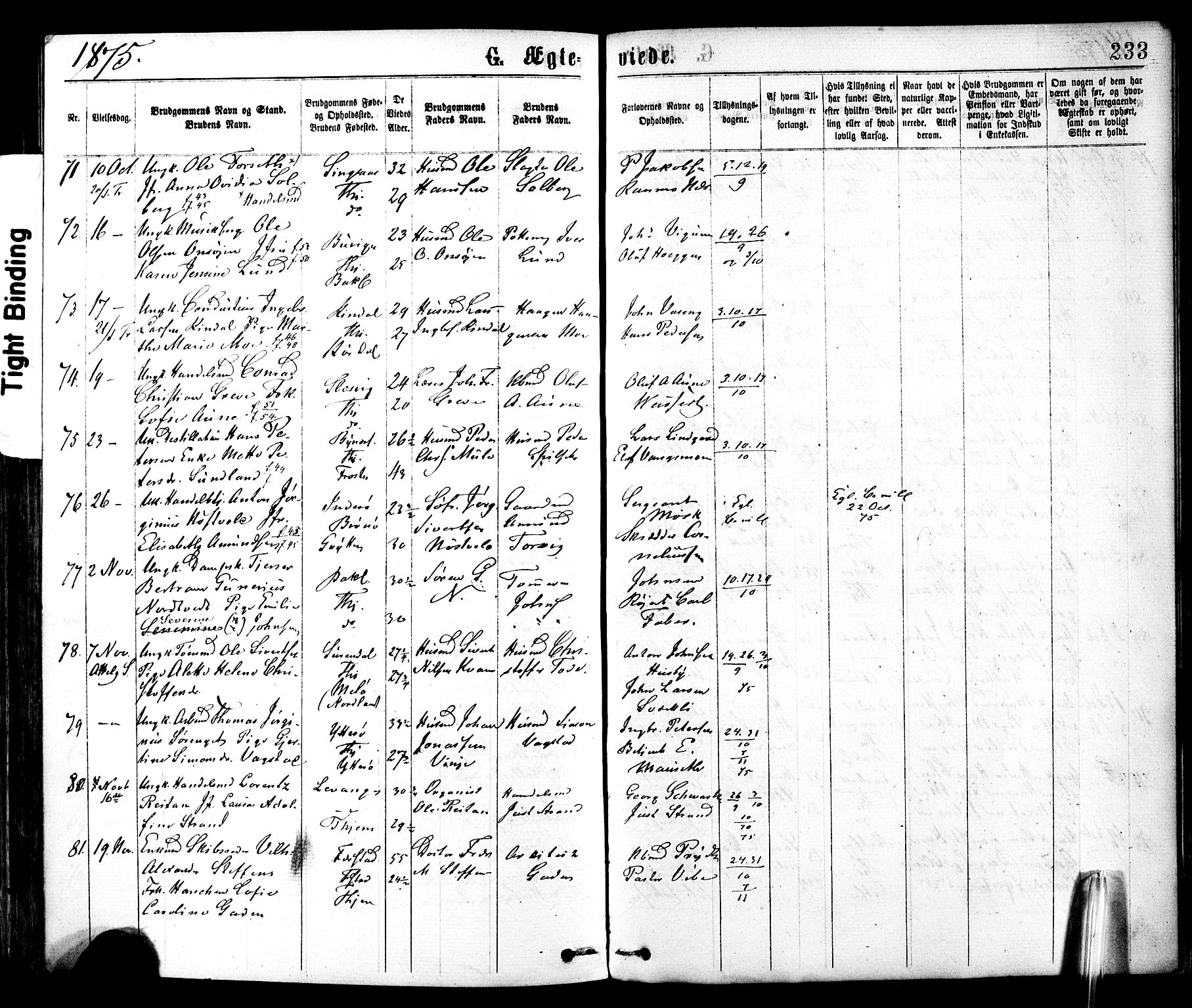 Ministerialprotokoller, klokkerbøker og fødselsregistre - Sør-Trøndelag, SAT/A-1456/602/L0118: Parish register (official) no. 602A16, 1873-1879, p. 233