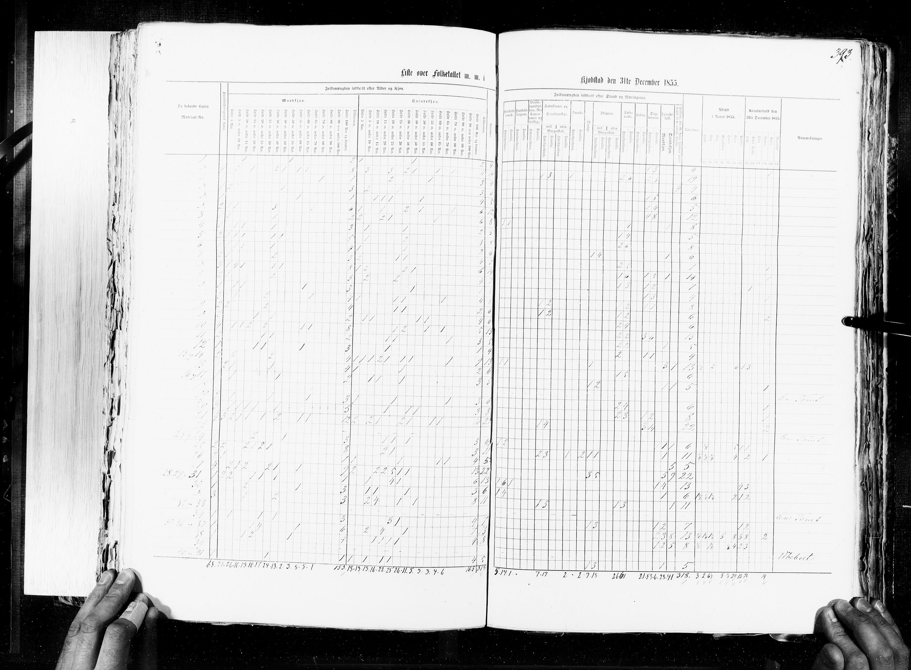 RA, Census 1855, vol. 7: Fredrikshald-Kragerø, 1855, p. 393