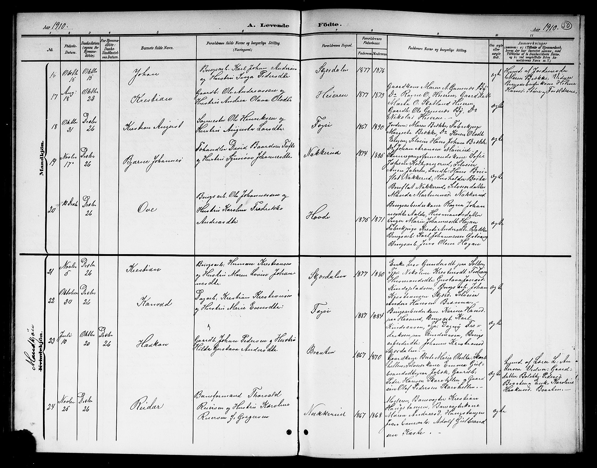 Hole kirkebøker, AV/SAKO-A-228/G/Gb/L0004: Parish register (copy) no. II 4, 1901-1916, p. 50