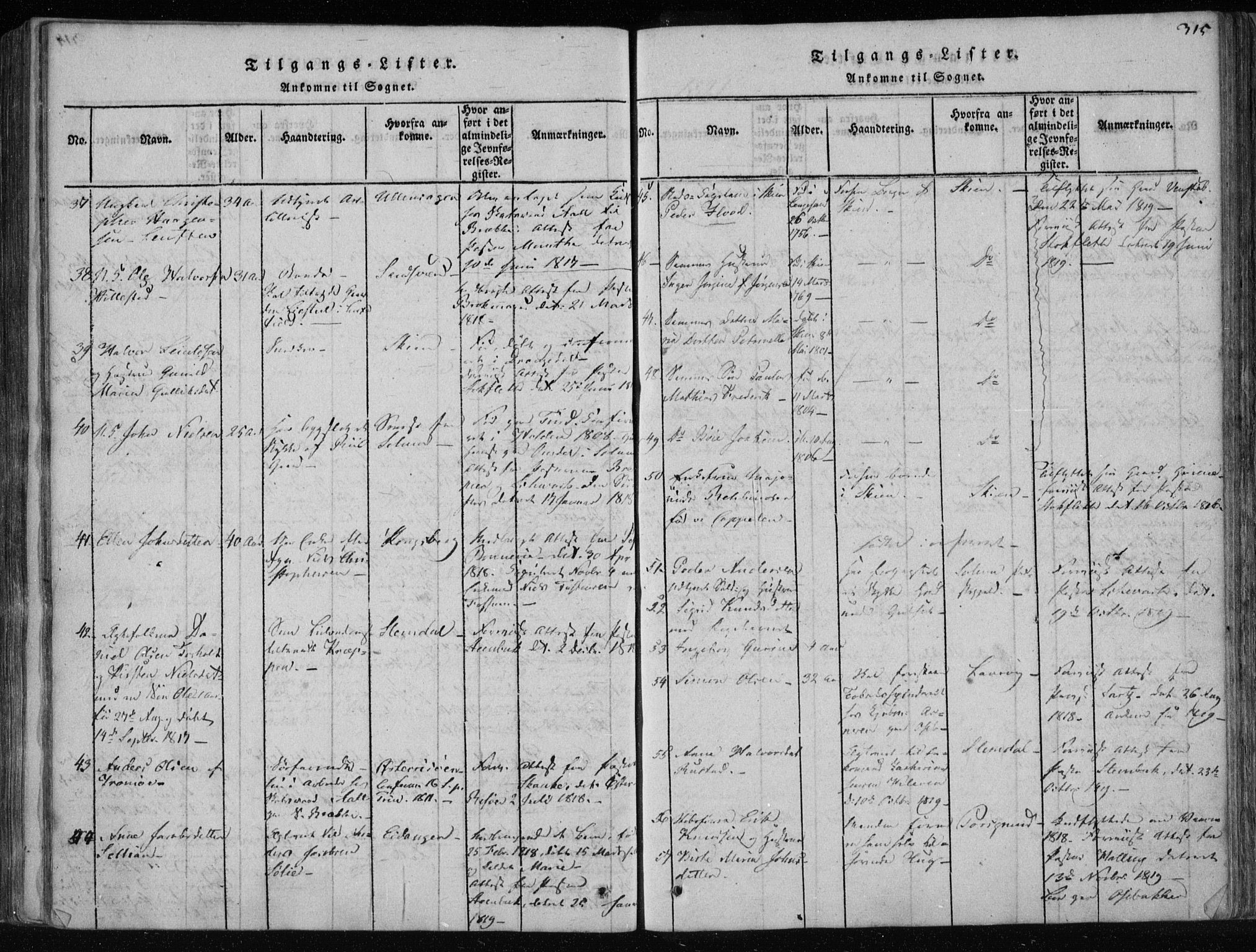 Gjerpen kirkebøker, SAKO/A-265/F/Fa/L0004: Parish register (official) no. I 4, 1814-1823, p. 315