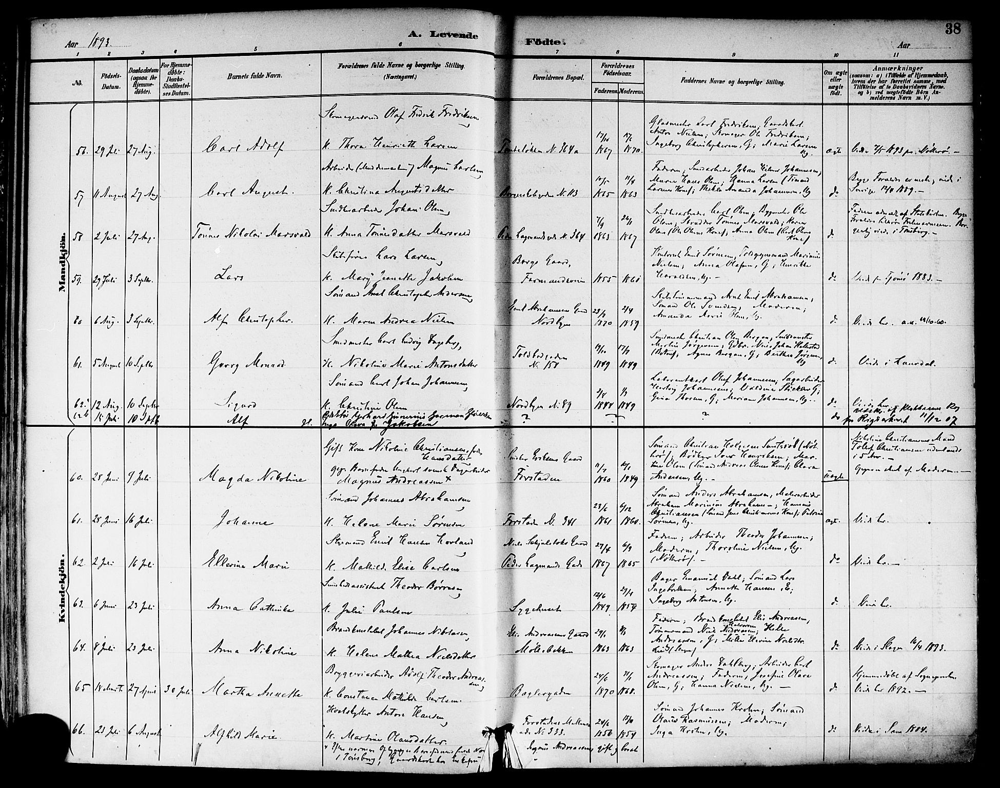 Tønsberg kirkebøker, SAKO/A-330/F/Fa/L0012: Parish register (official) no. I 12, 1891-1899, p. 38