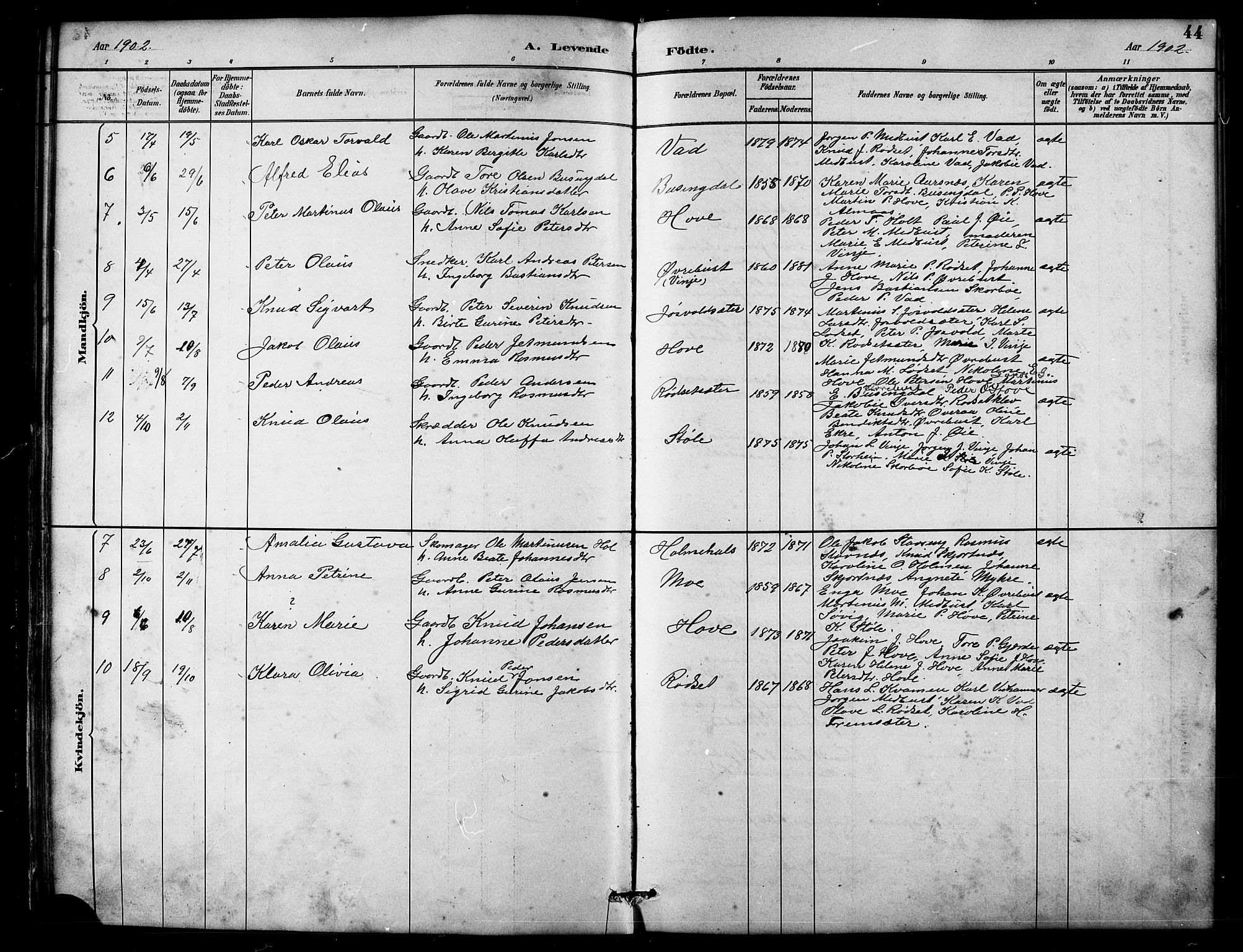 Ministerialprotokoller, klokkerbøker og fødselsregistre - Møre og Romsdal, AV/SAT-A-1454/521/L0302: Parish register (copy) no. 521C03, 1882-1907, p. 44