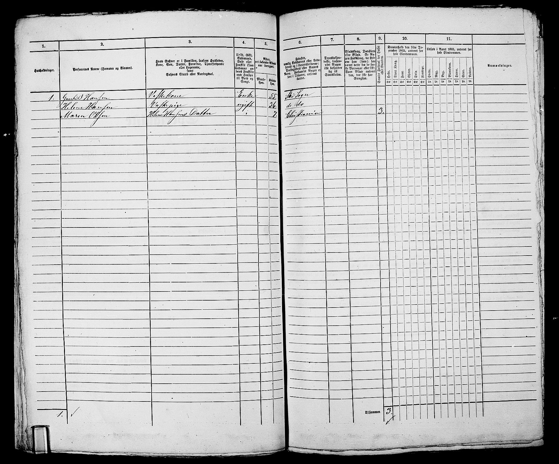 RA, 1865 census for Kristiania, 1865, p. 1440