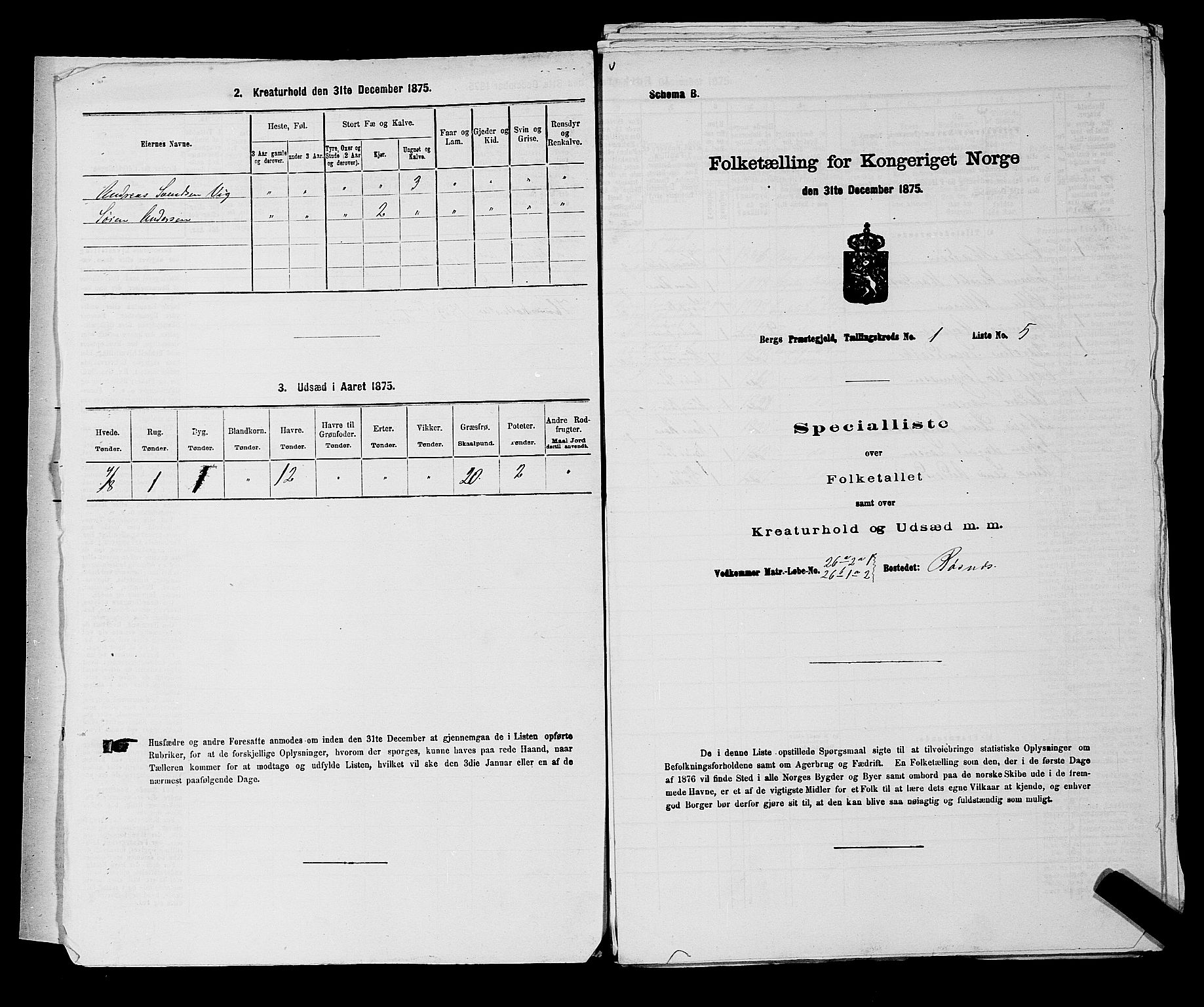 RA, 1875 census for 0116P Berg, 1875, p. 36