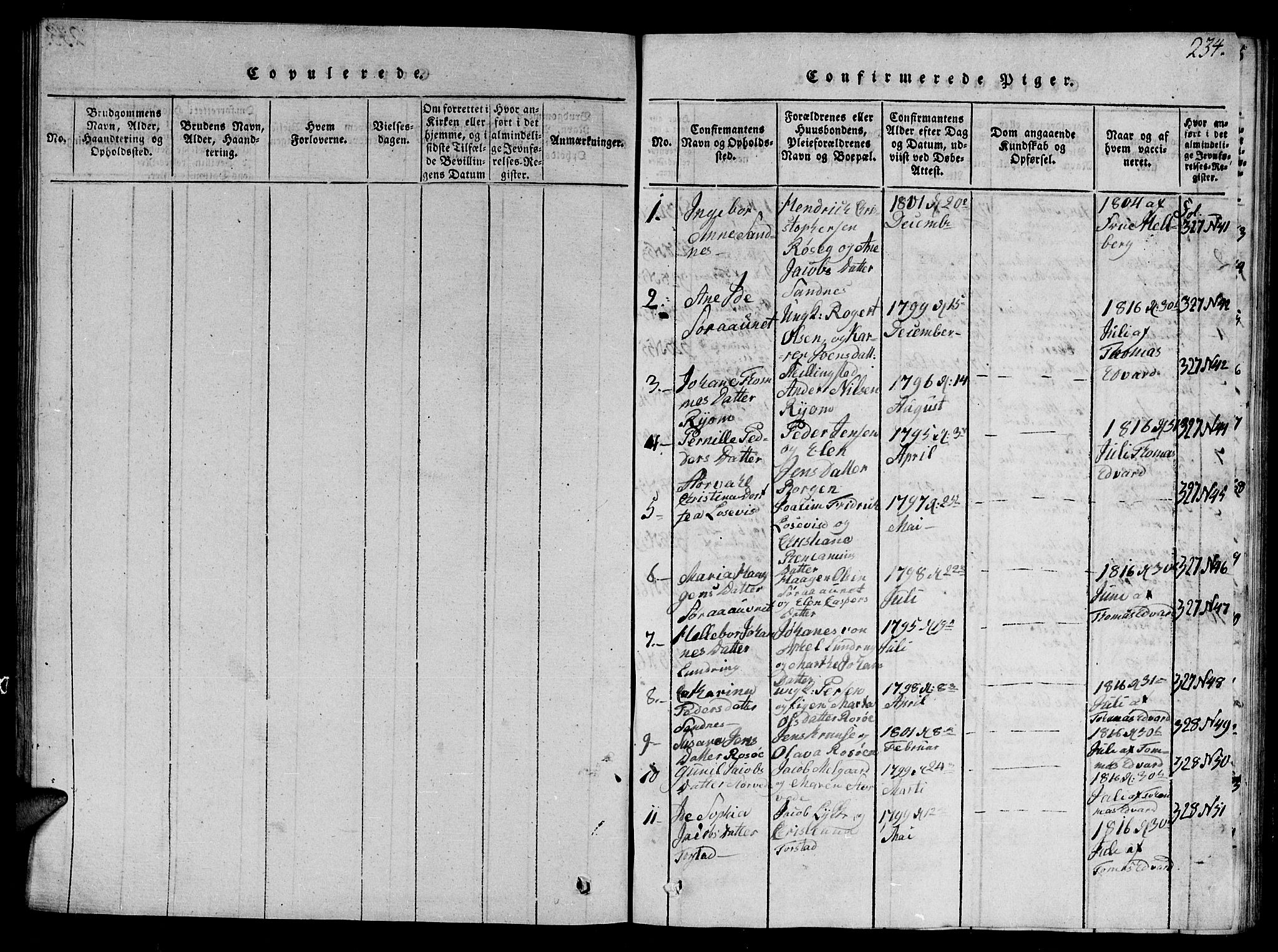 Ministerialprotokoller, klokkerbøker og fødselsregistre - Nord-Trøndelag, SAT/A-1458/784/L0679: Parish register (copy) no. 784C01 /1, 1816-1822, p. 234