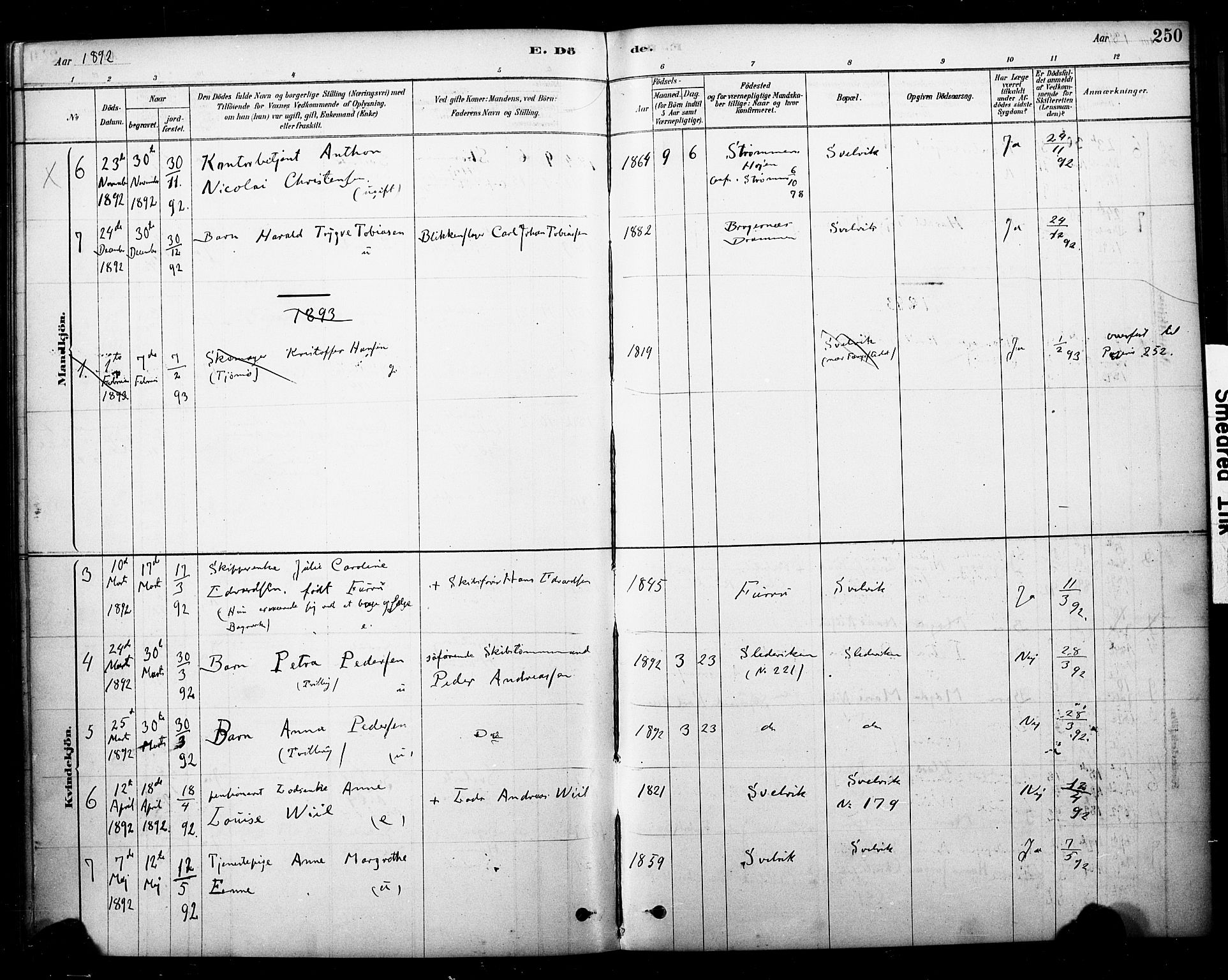 Strømm kirkebøker, AV/SAKO-A-322/F/Fb/L0001: Parish register (official) no. II 1, 1878-1899, p. 250