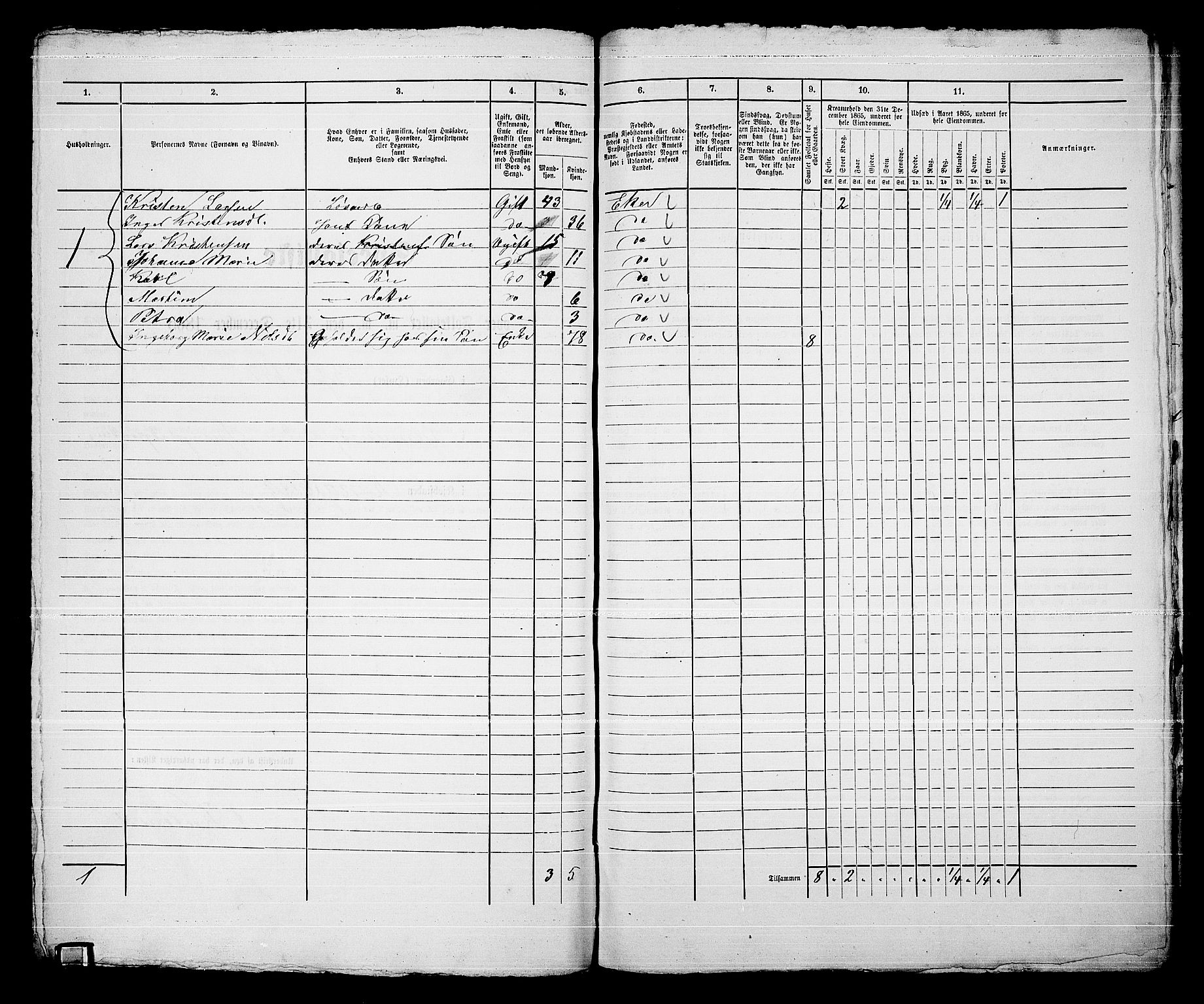 RA, 1865 census for Kongsberg/Kongsberg, 1865, p. 1523