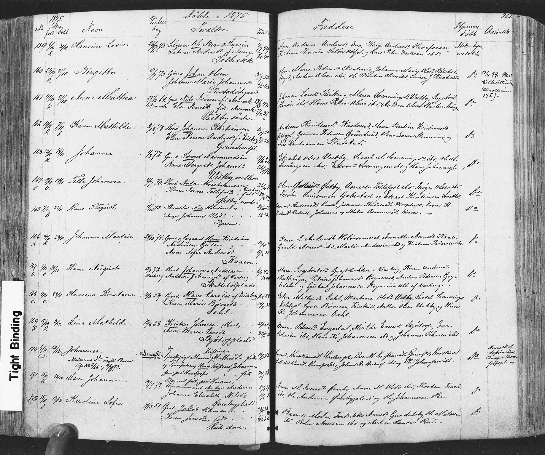 Rakkestad prestekontor Kirkebøker, SAO/A-2008/F/Fa/L0011: Parish register (official) no. I 11, 1862-1877, p. 202