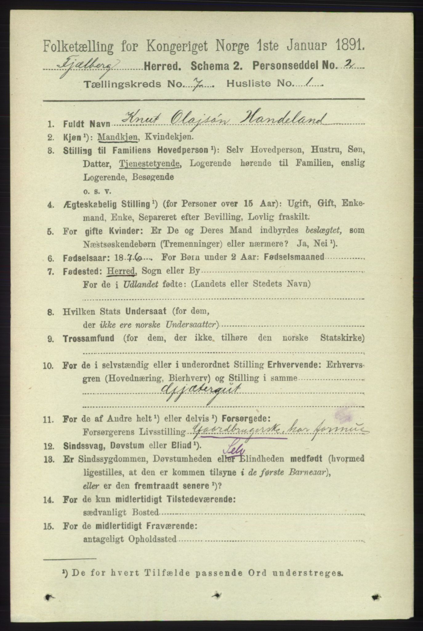 RA, 1891 census for 1213 Fjelberg, 1891, p. 2399