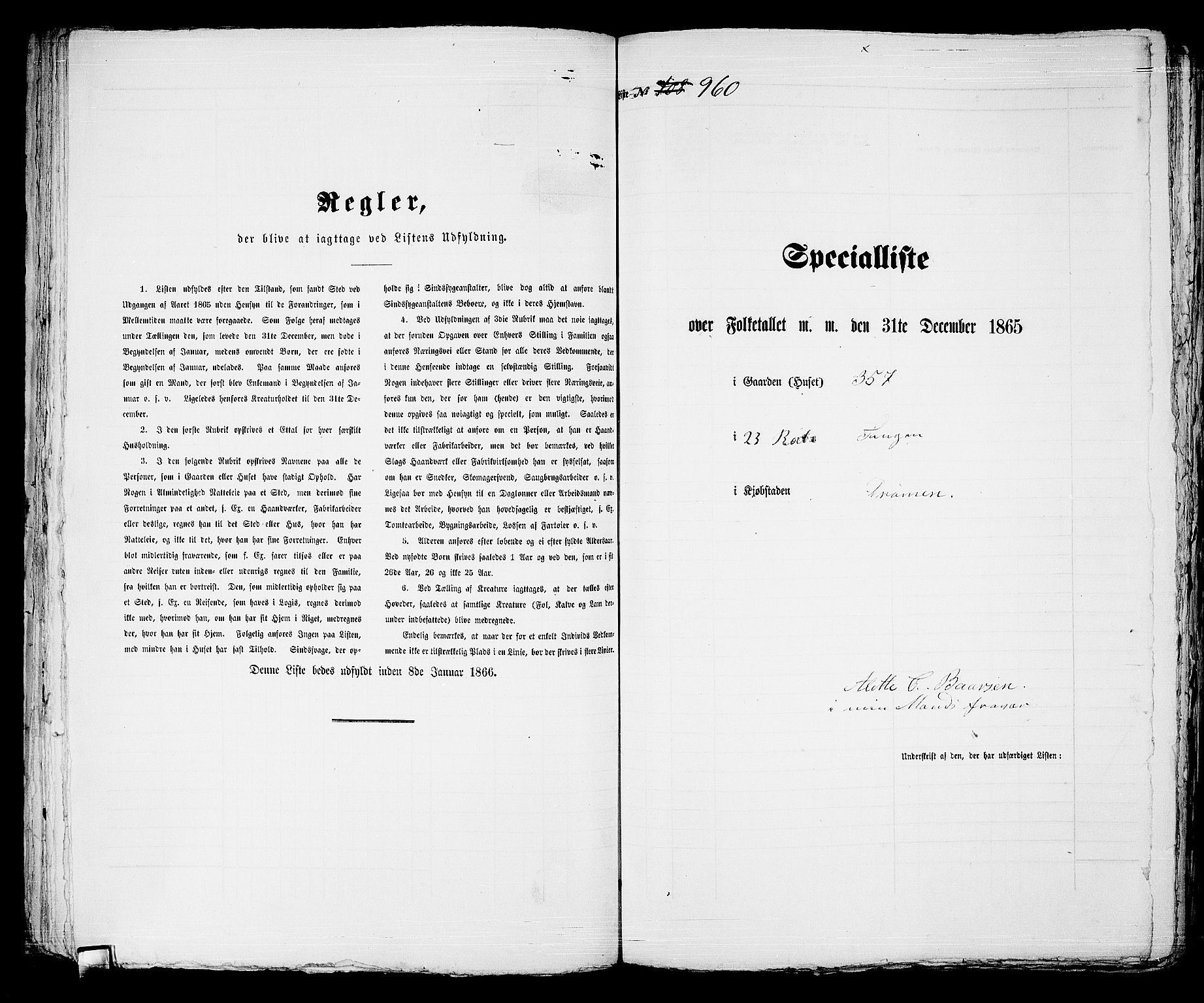 RA, 1865 census for Strømsø in Drammen, 1865, p. 743