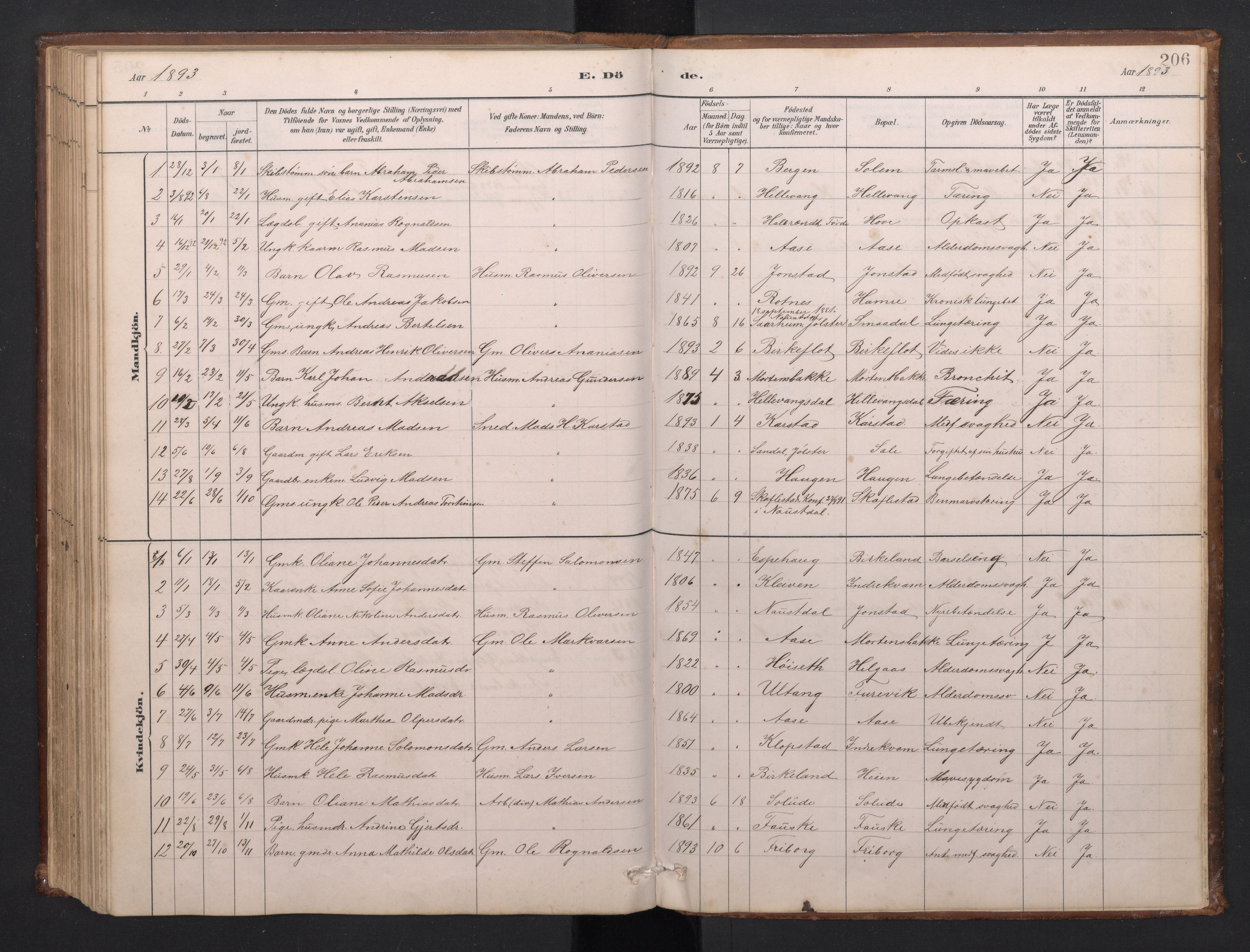 Førde sokneprestembete, SAB/A-79901/H/Hab/Habd/L0003: Parish register (copy) no. D 3, 1881-1897, p. 205b-206a