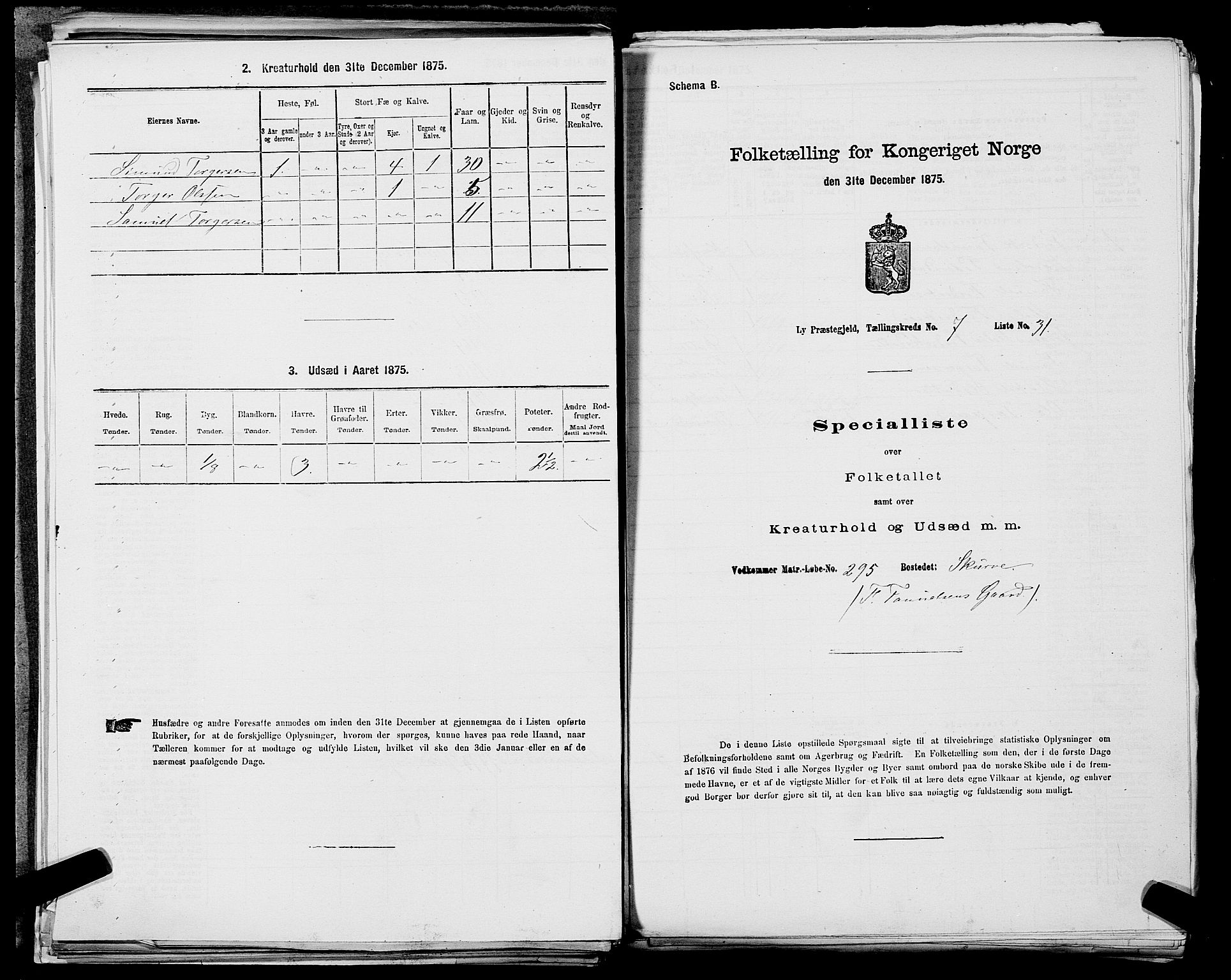 SAST, 1875 census for 1121P Lye, 1875, p. 869