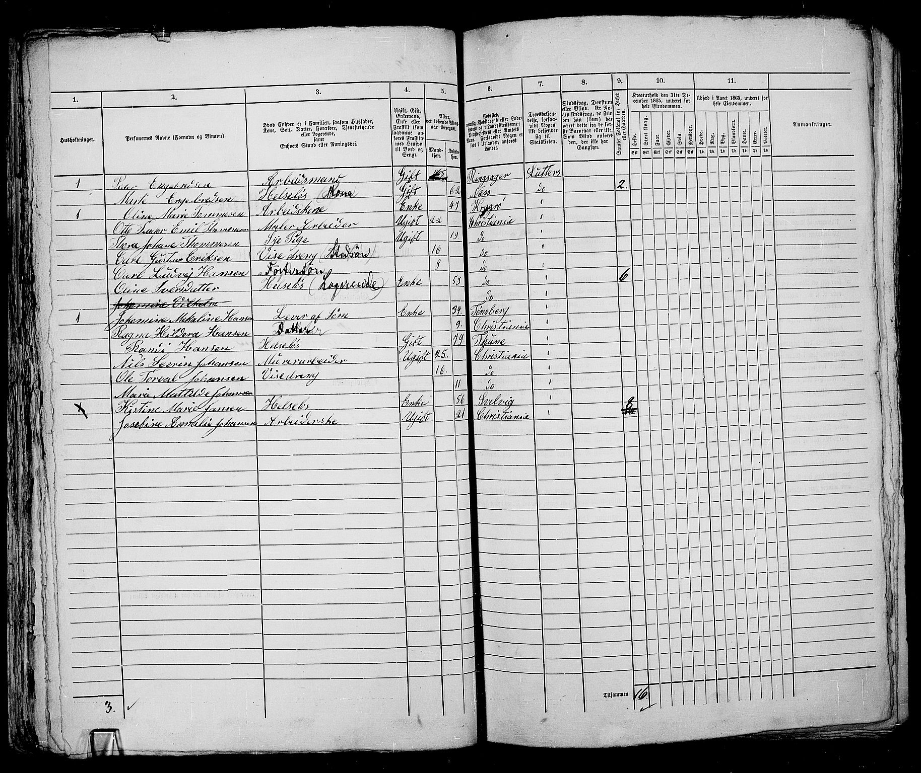 RA, 1865 census for Kristiania, 1865, p. 2325