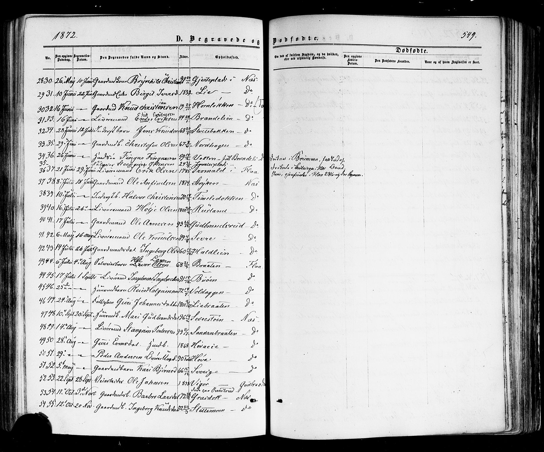 Nes kirkebøker, AV/SAKO-A-236/F/Fa/L0010: Parish register (official) no. 10, 1864-1880, p. 549