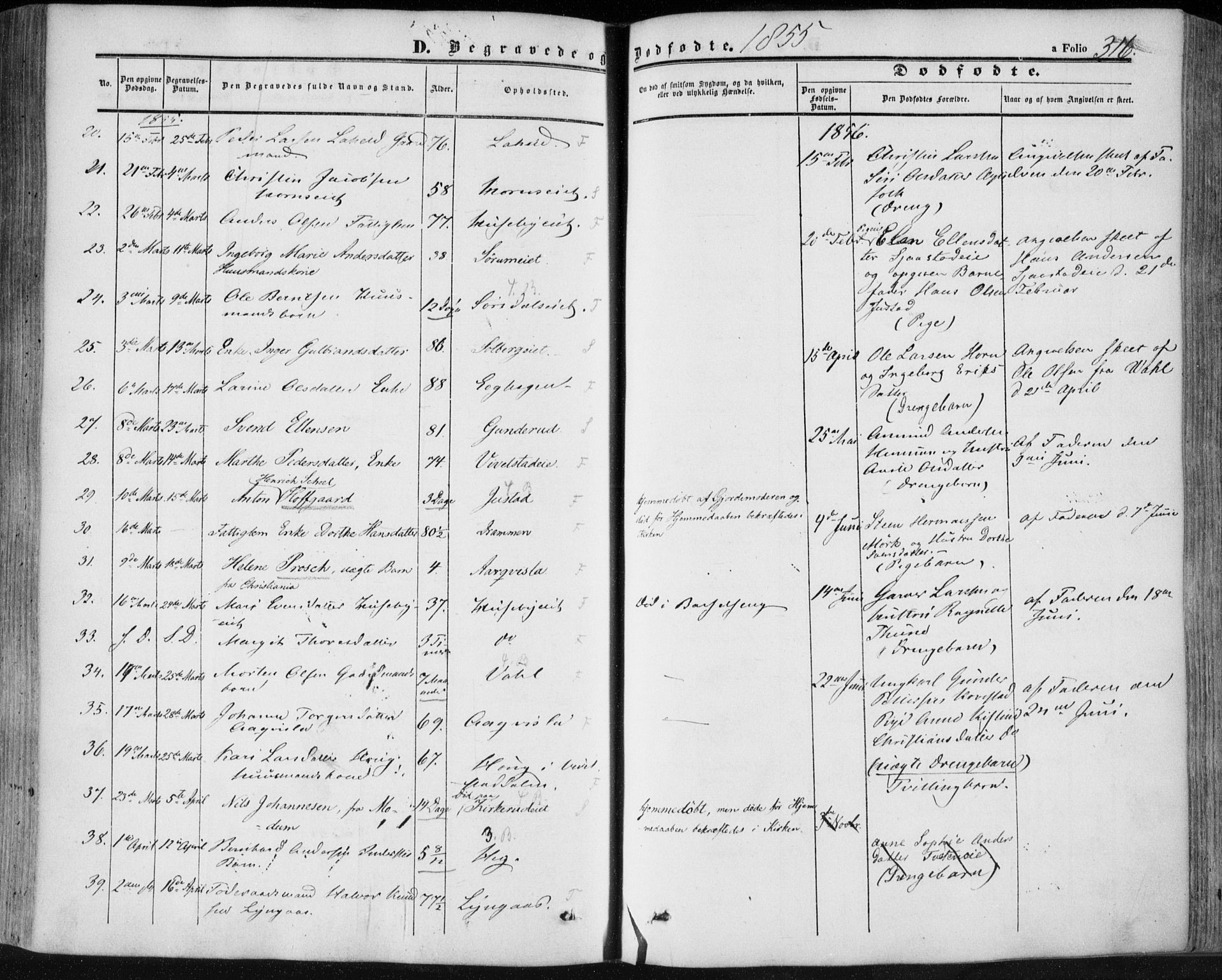 Lier kirkebøker, AV/SAKO-A-230/F/Fa/L0012: Parish register (official) no. I 12, 1854-1864, p. 316