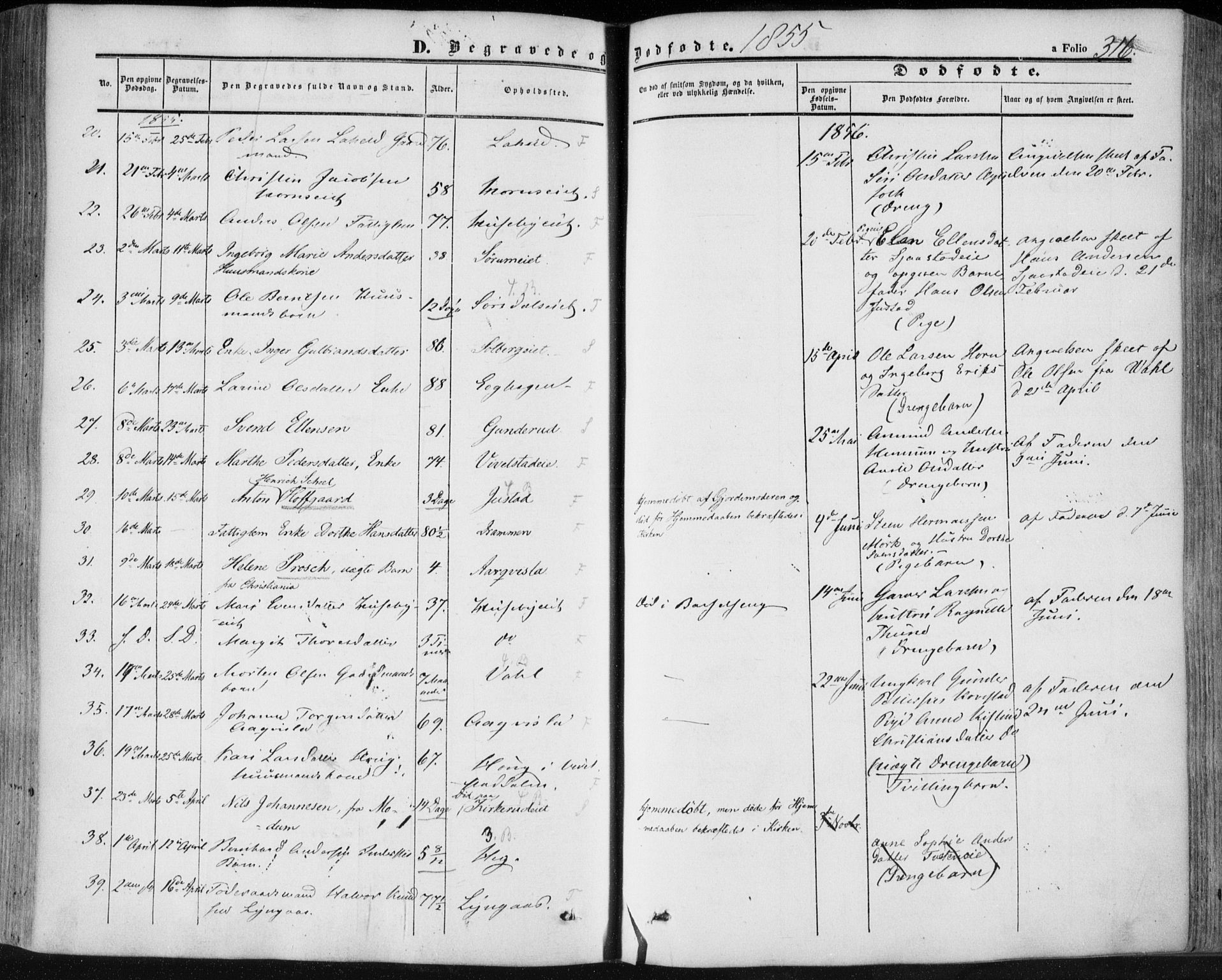 Lier kirkebøker, SAKO/A-230/F/Fa/L0012: Parish register (official) no. I 12, 1854-1864, p. 316