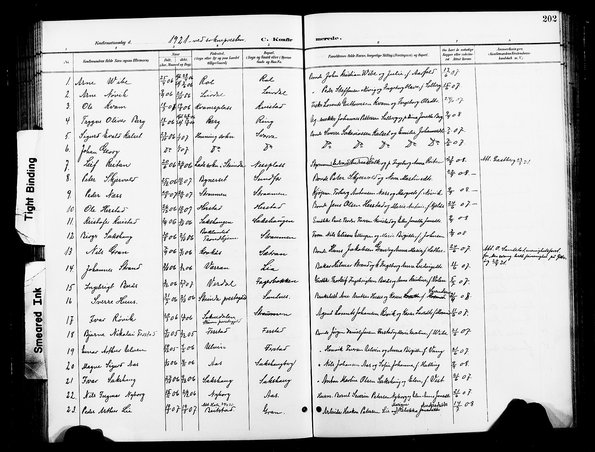 Ministerialprotokoller, klokkerbøker og fødselsregistre - Nord-Trøndelag, SAT/A-1458/730/L0302: Parish register (copy) no. 730C05, 1898-1924, p. 202