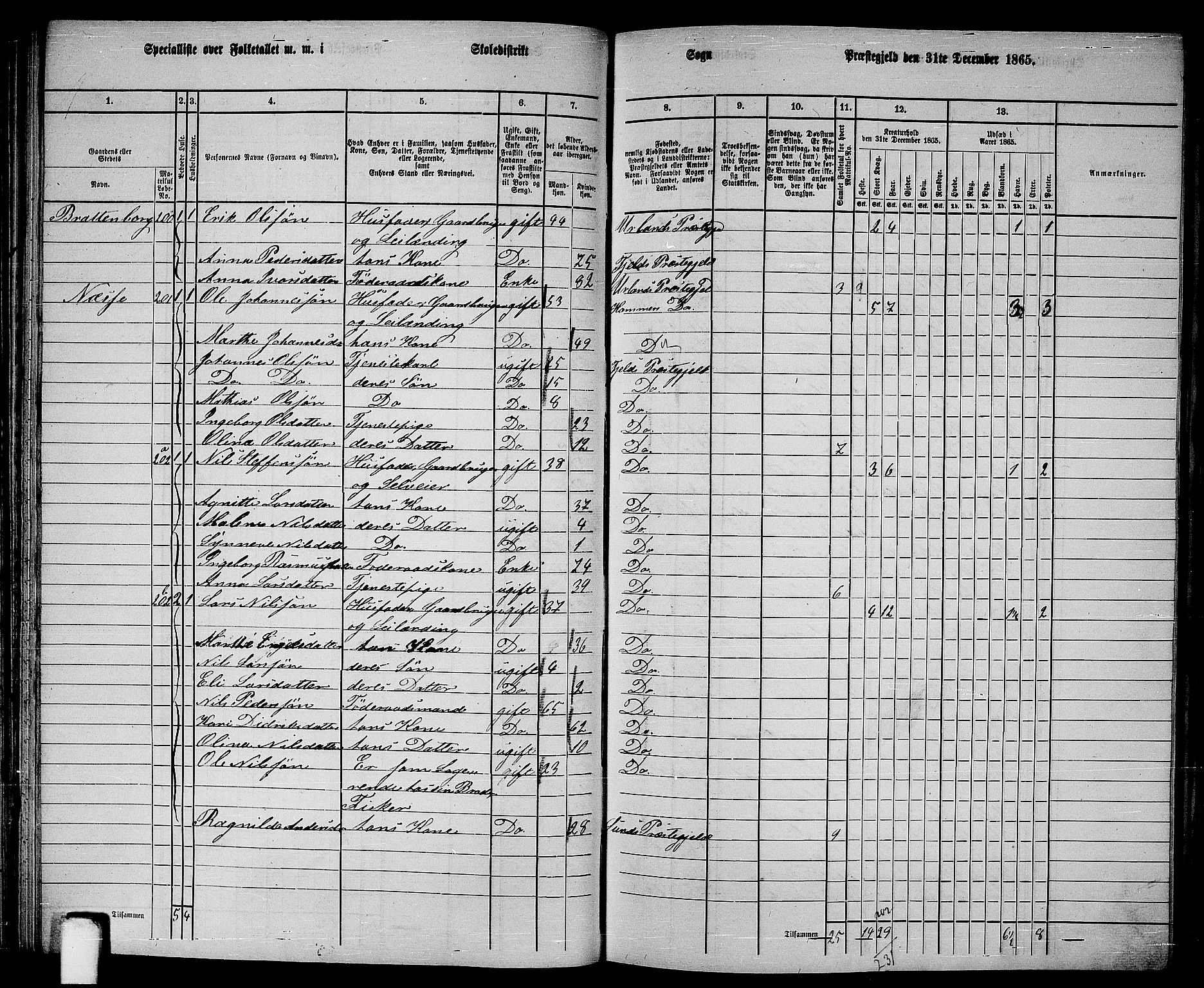 RA, 1865 census for Fjell, 1865, p. 67