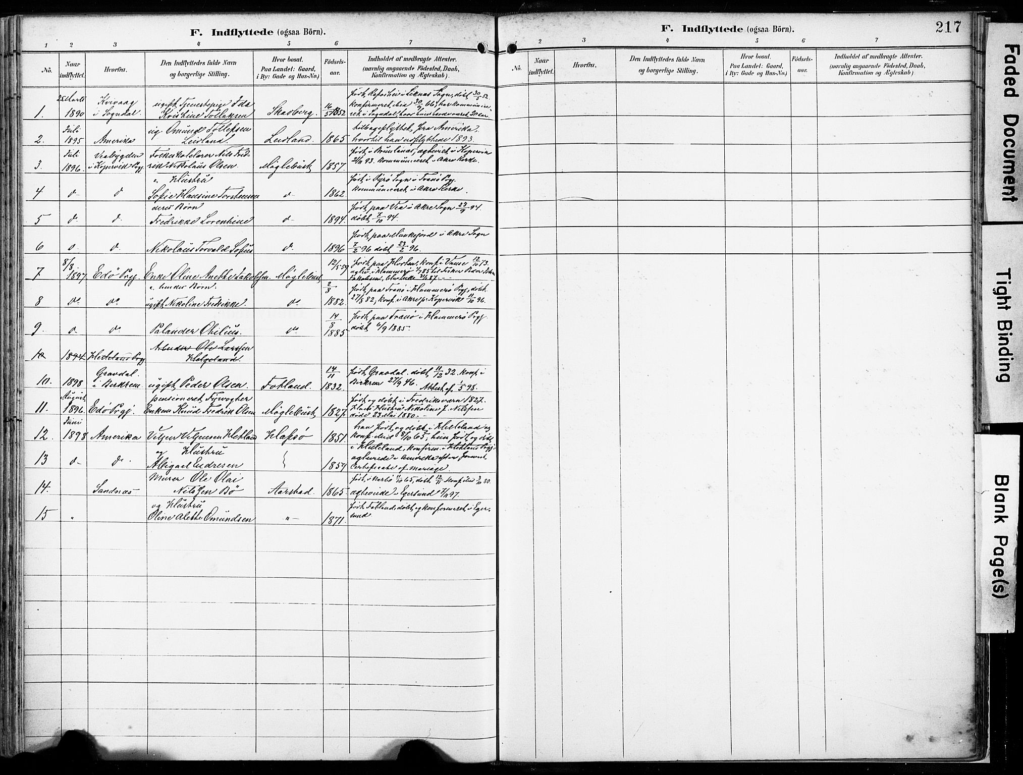 Eigersund sokneprestkontor, SAST/A-101807/S08/L0018: Parish register (official) no. A 17, 1892-1905, p. 217