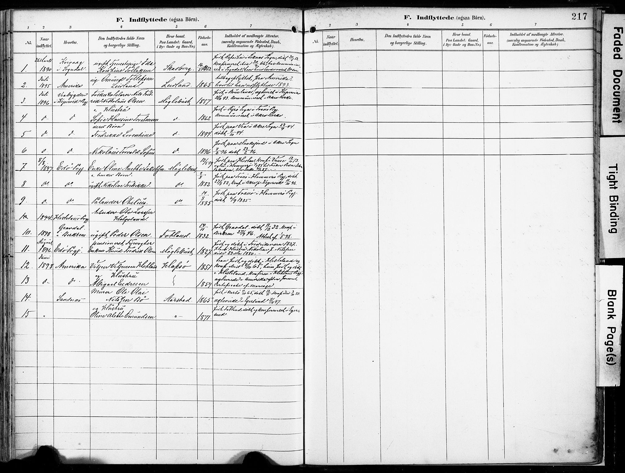 Eigersund sokneprestkontor, AV/SAST-A-101807/S08/L0018: Parish register (official) no. A 17, 1892-1905, p. 217