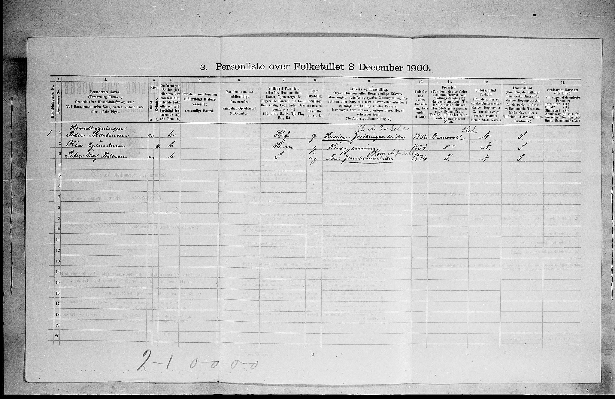 SAH, 1900 census for Vinger, 1900, p. 195