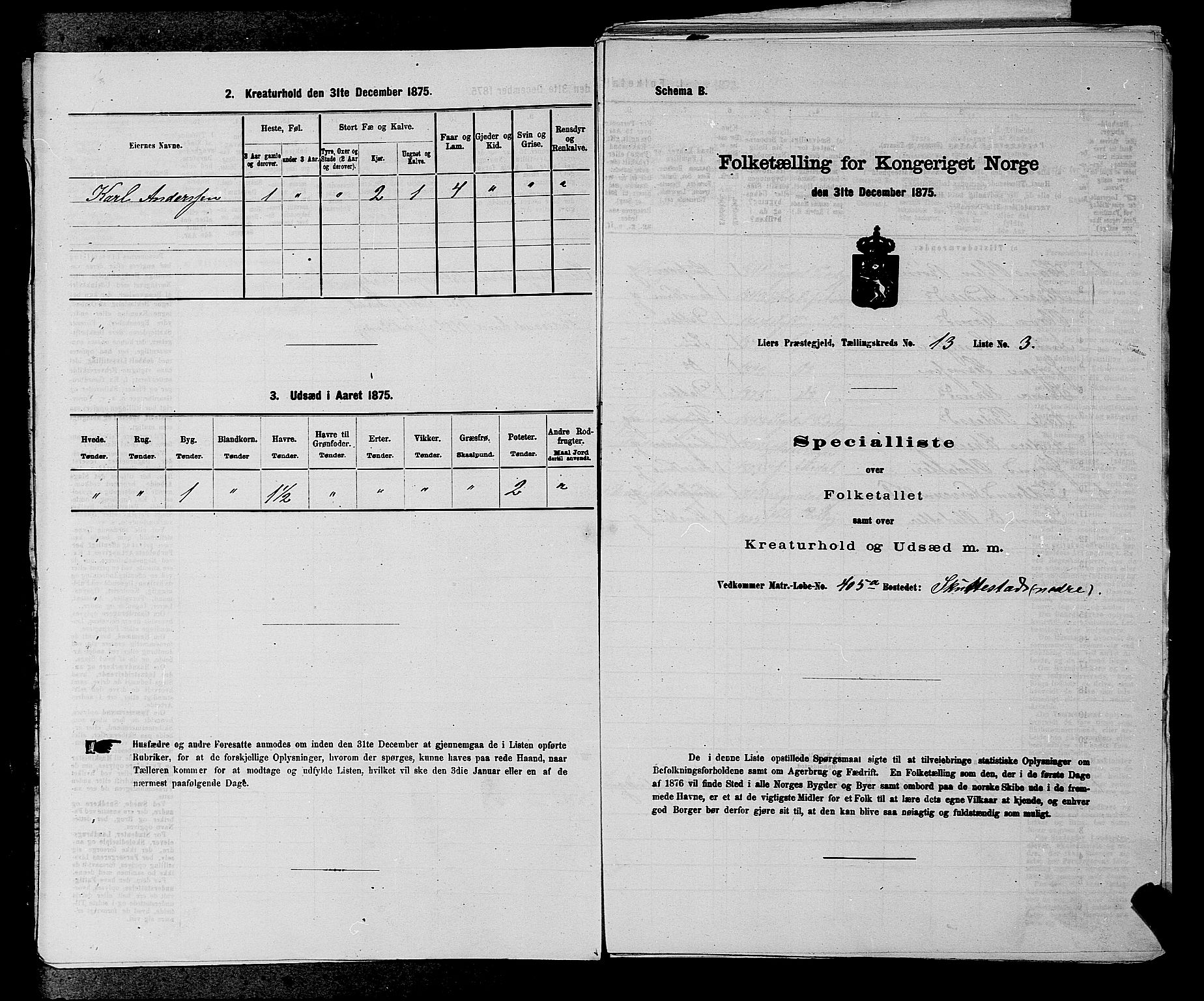 SAKO, 1875 census for 0626P Lier, 1875, p. 2299