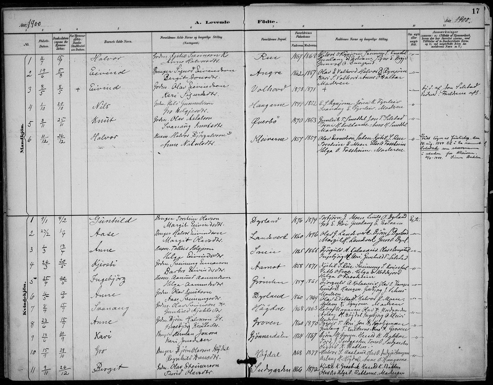 Seljord kirkebøker, SAKO/A-20/F/Fc/L0002: Parish register (official) no. III 2, 1887-1920, p. 17