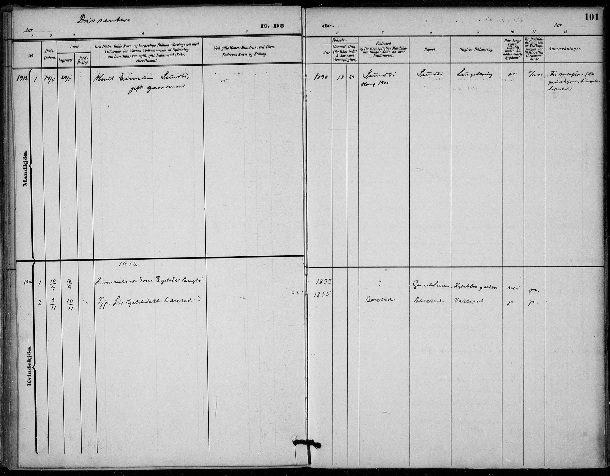 Seljord kirkebøker, SAKO/A-20/F/Fb/L0002: Parish register (official) no. II 2, 1887-1917, p. 101