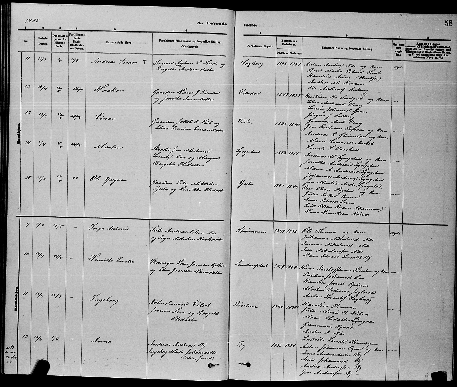 Ministerialprotokoller, klokkerbøker og fødselsregistre - Nord-Trøndelag, AV/SAT-A-1458/730/L0301: Parish register (copy) no. 730C04, 1880-1897, p. 58