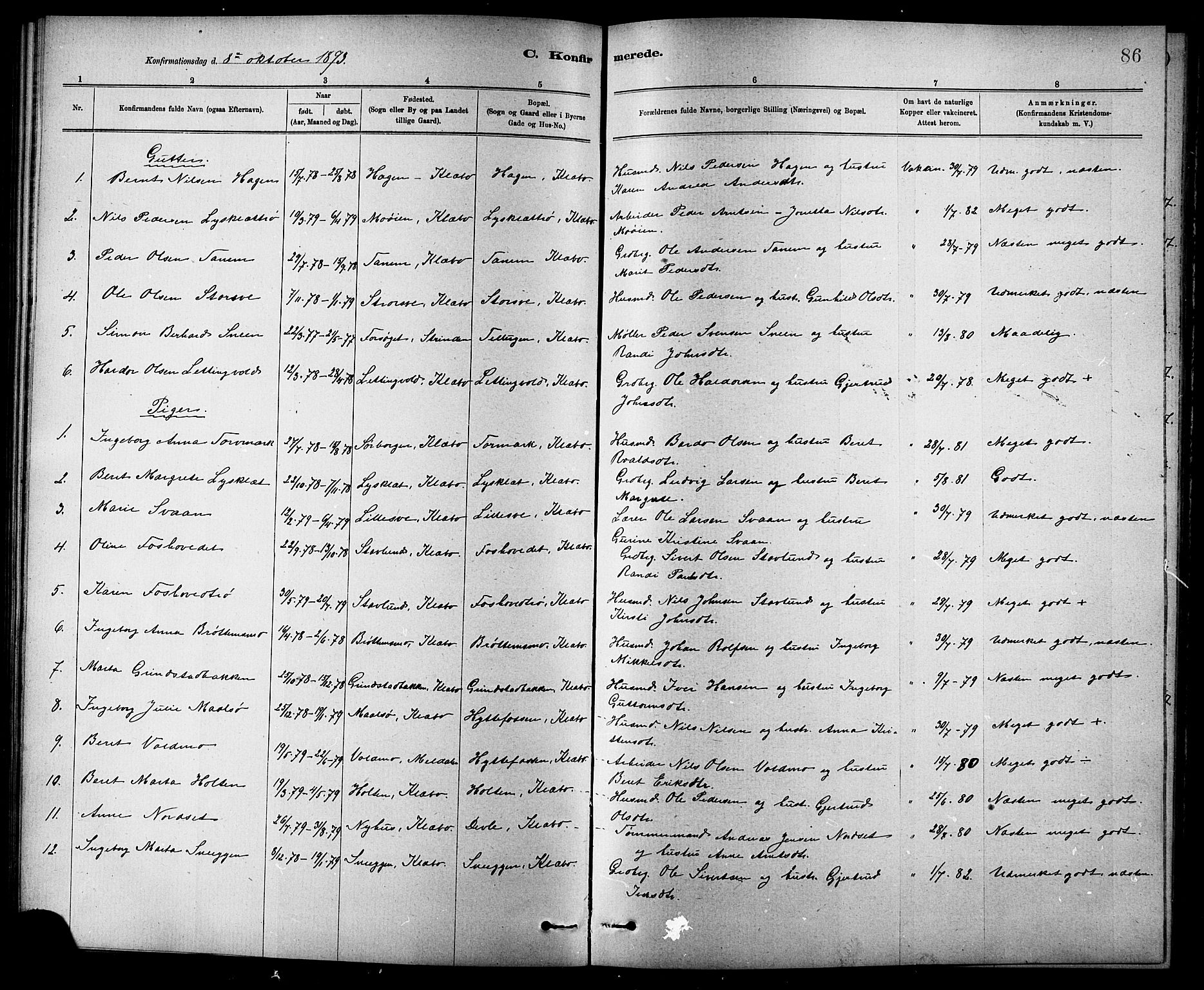 Ministerialprotokoller, klokkerbøker og fødselsregistre - Sør-Trøndelag, SAT/A-1456/618/L0452: Parish register (copy) no. 618C03, 1884-1906, p. 86