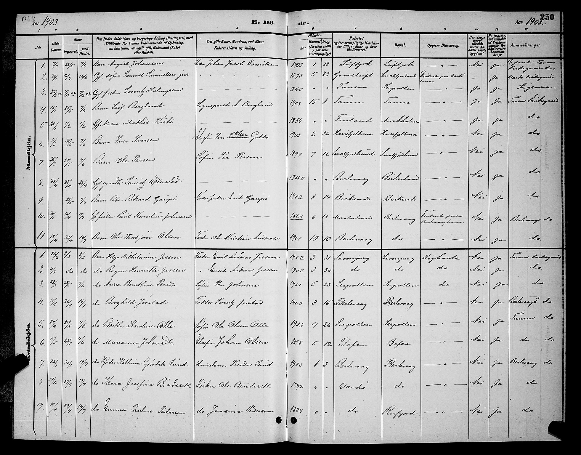 Tana sokneprestkontor, AV/SATØ-S-1334/H/Hb/L0004klokker: Parish register (copy) no. 4, 1890-1903, p. 250