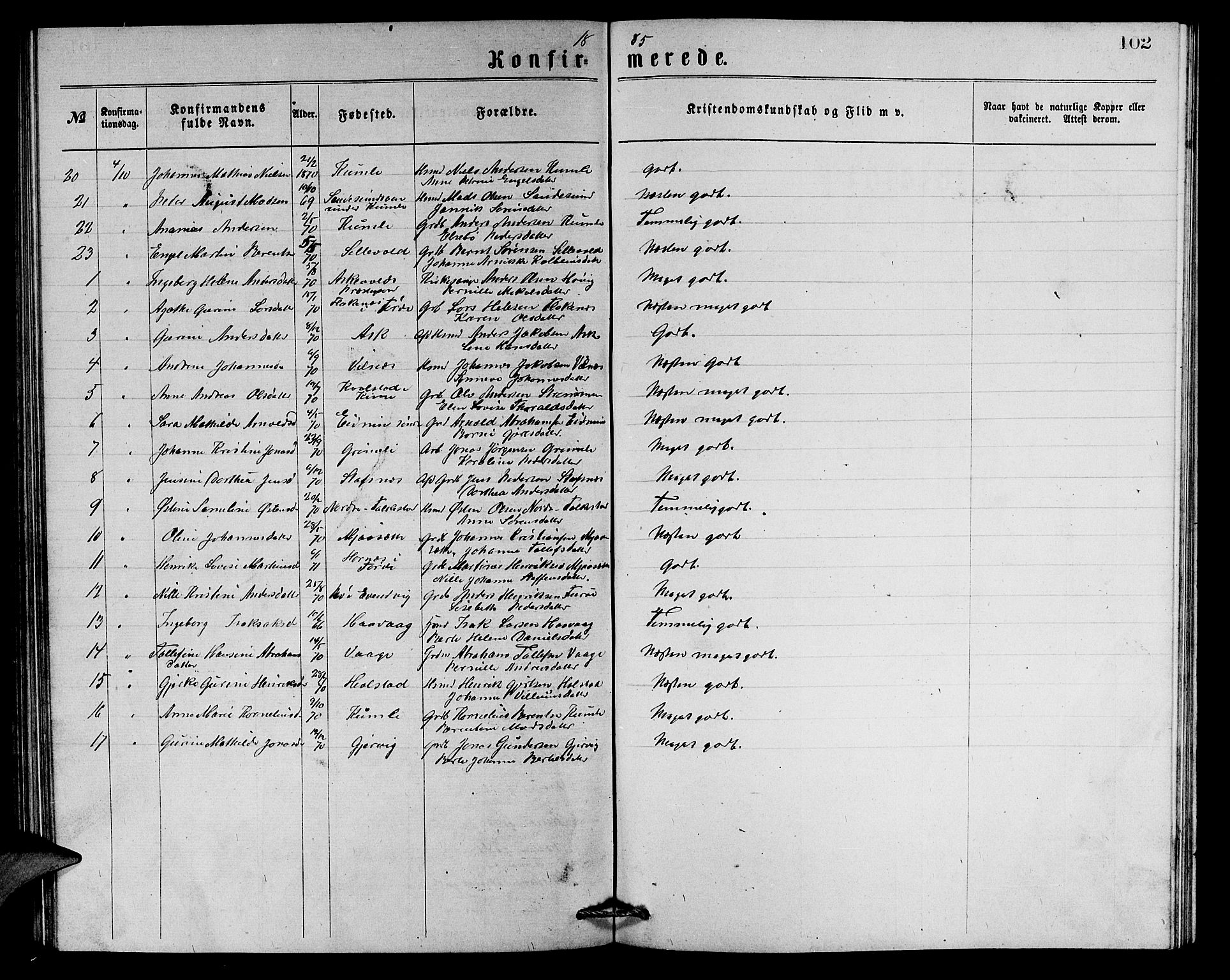 Askvoll sokneprestembete, AV/SAB-A-79501/H/Hab/Haba/L0002: Parish register (copy) no. A 2, 1873-1885, p. 102