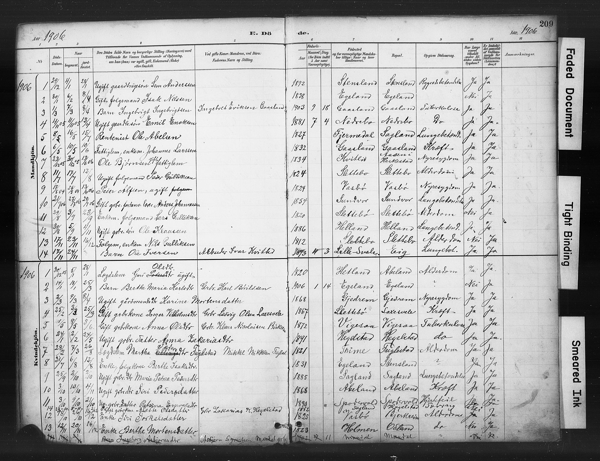 Helleland sokneprestkontor, SAST/A-101810: Parish register (copy) no. B 5, 1887-1908, p. 209