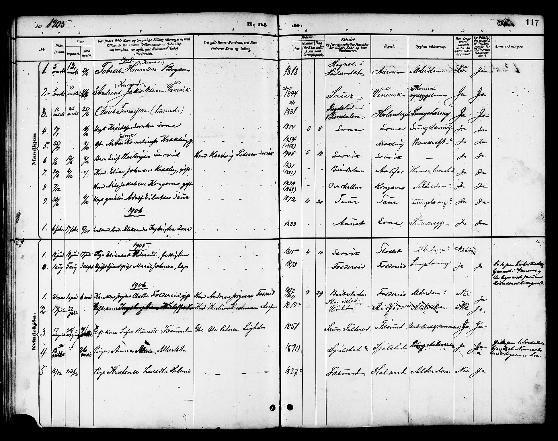 Ministerialprotokoller, klokkerbøker og fødselsregistre - Nord-Trøndelag, AV/SAT-A-1458/783/L0662: Parish register (copy) no. 783C02, 1894-1919, p. 117