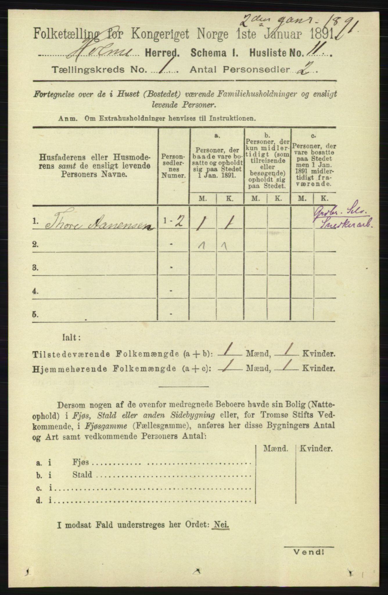 RA, 1891 census for 1020 Holum, 1891, p. 31