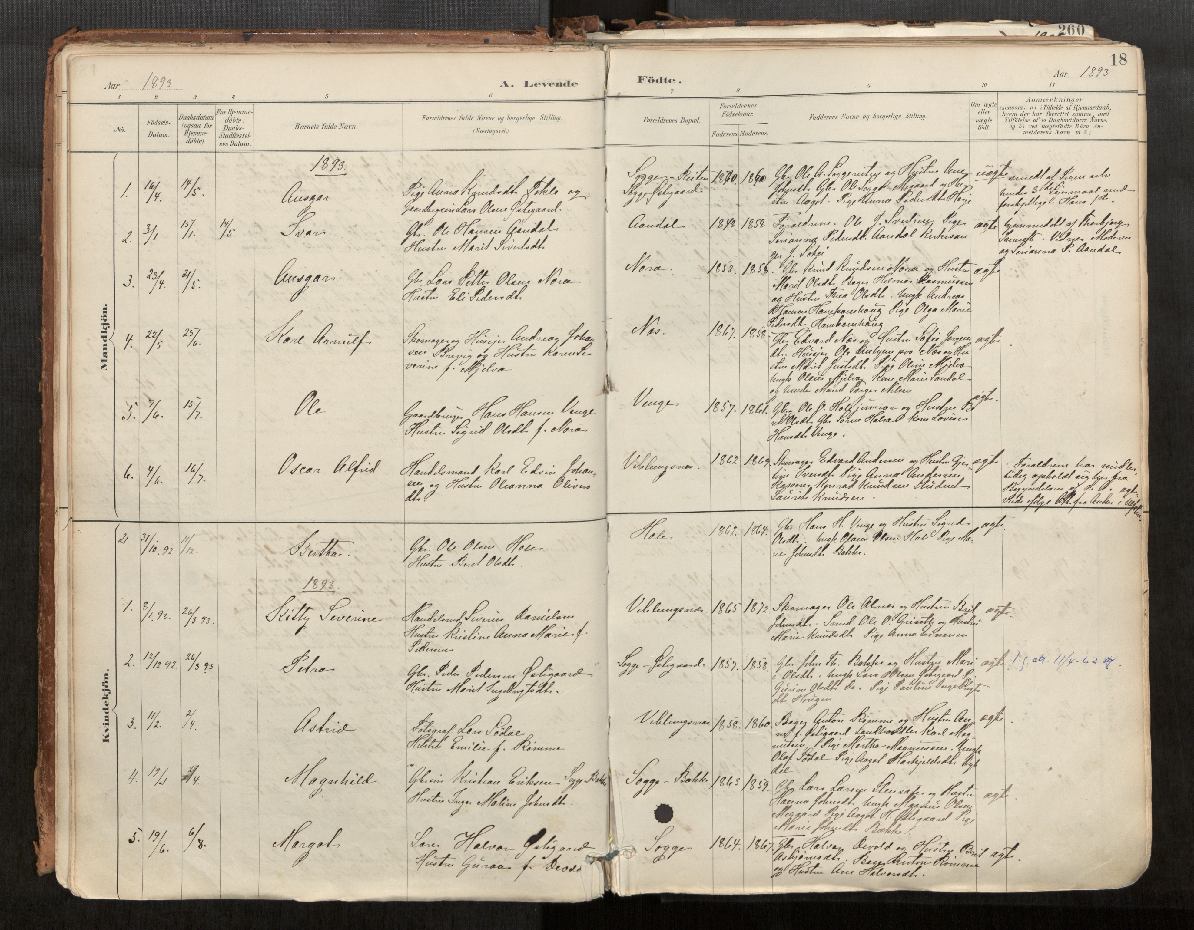 Ministerialprotokoller, klokkerbøker og fødselsregistre - Møre og Romsdal, AV/SAT-A-1454/544/L0585: Parish register (official) no. 544A06, 1887-1924, p. 18