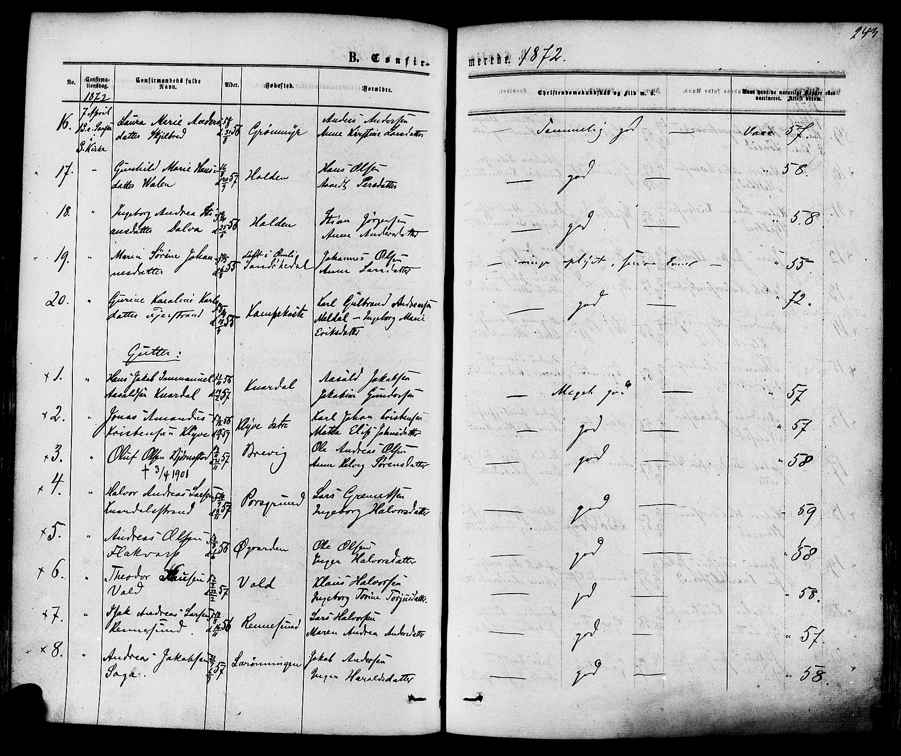Solum kirkebøker, SAKO/A-306/F/Fa/L0008: Parish register (official) no. I 8, 1865-1876, p. 243