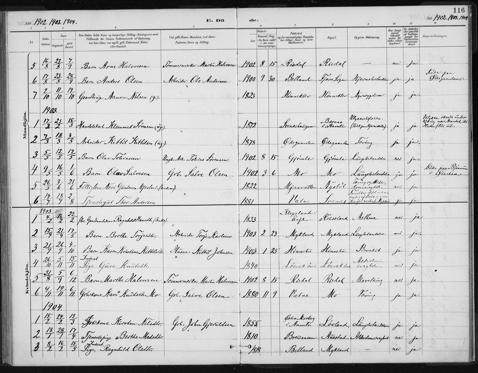 Herefoss sokneprestkontor, SAK/1111-0019/F/Fa/Fac/L0002: Parish register (official) no. A 2, 1887-1915, p. 116