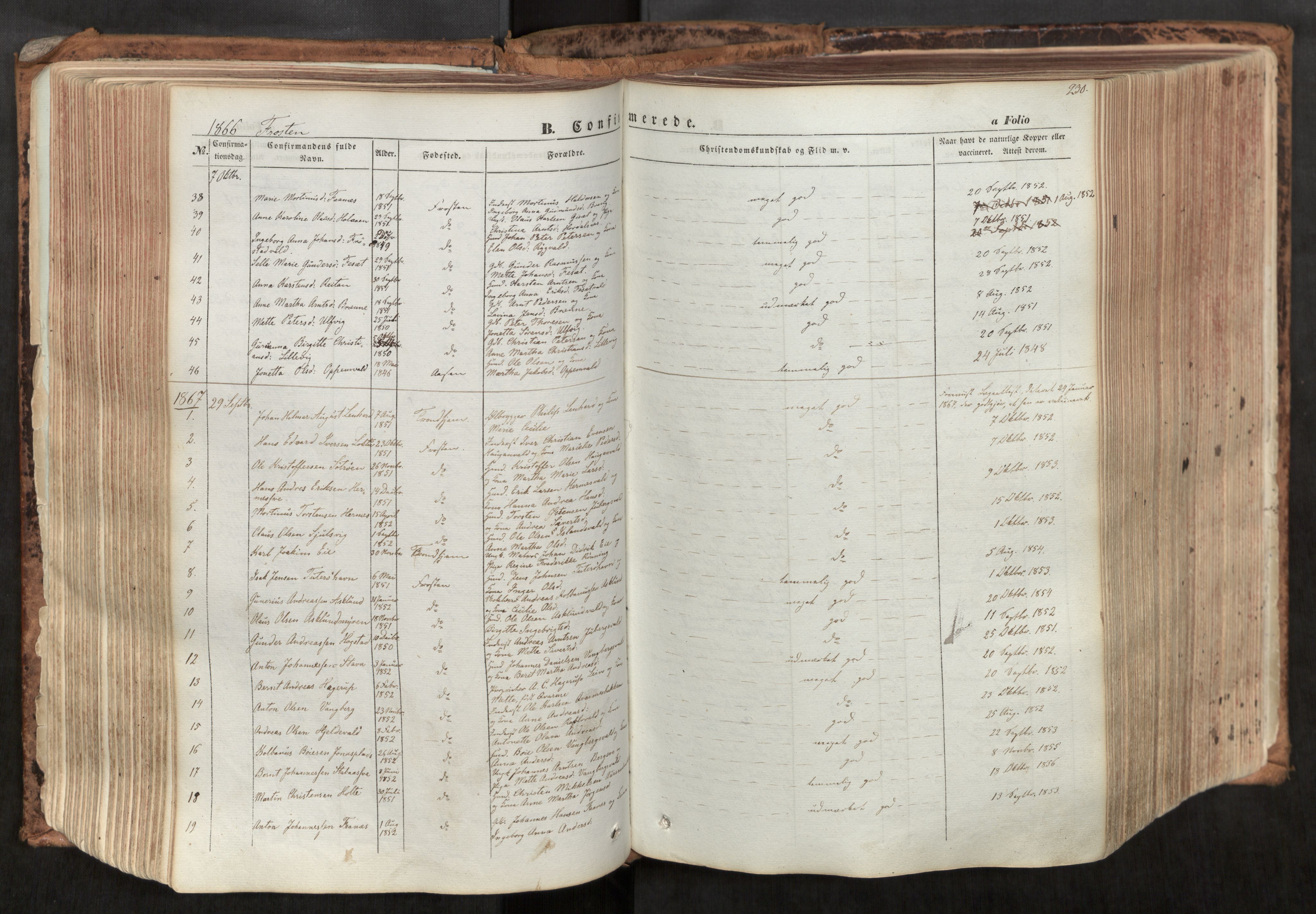 Ministerialprotokoller, klokkerbøker og fødselsregistre - Nord-Trøndelag, SAT/A-1458/713/L0116: Parish register (official) no. 713A07, 1850-1877, p. 230