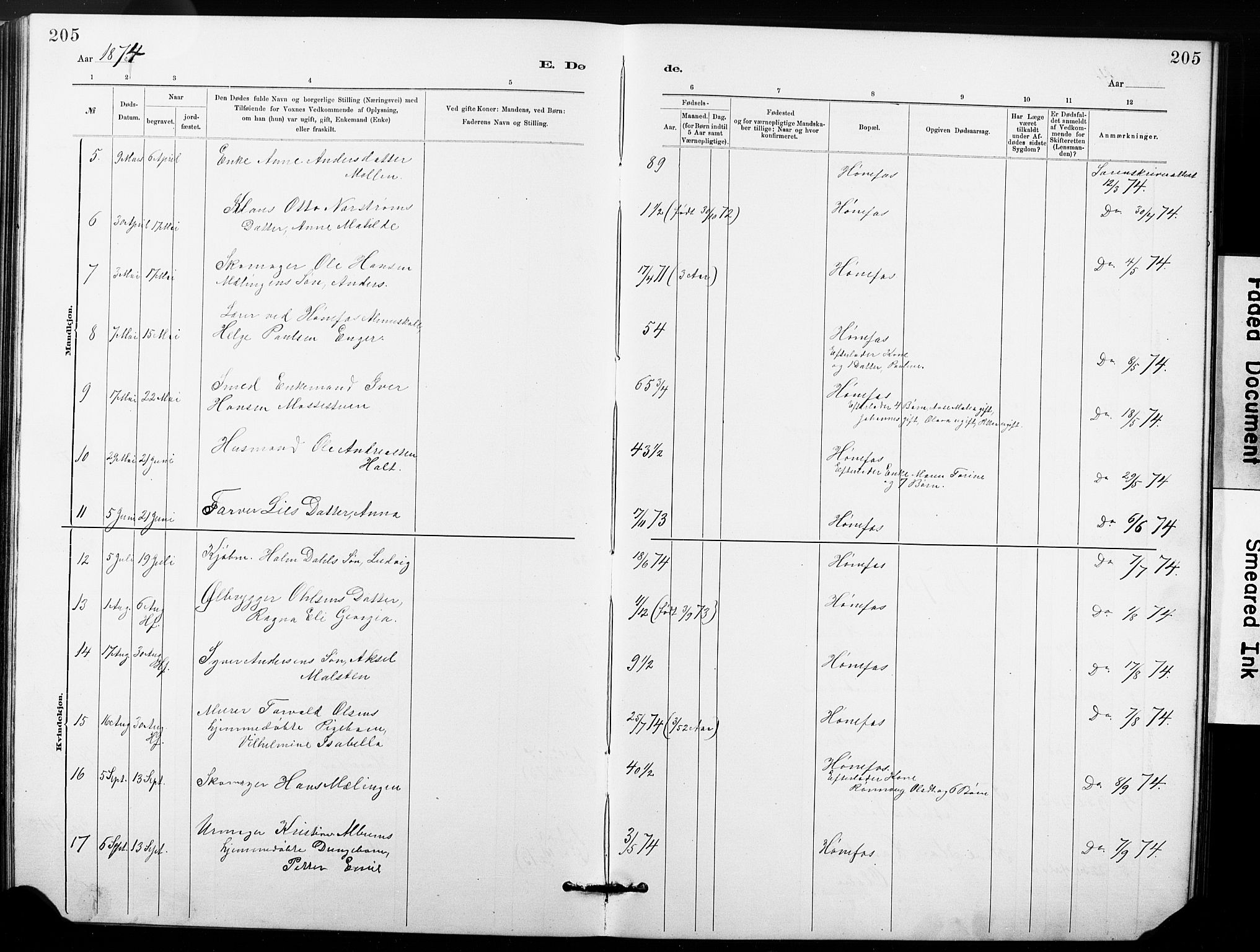 Hønefoss kirkebøker, AV/SAKO-A-609/G/Ga/L0001: Parish register (copy) no. 1, 1870-1887, p. 205