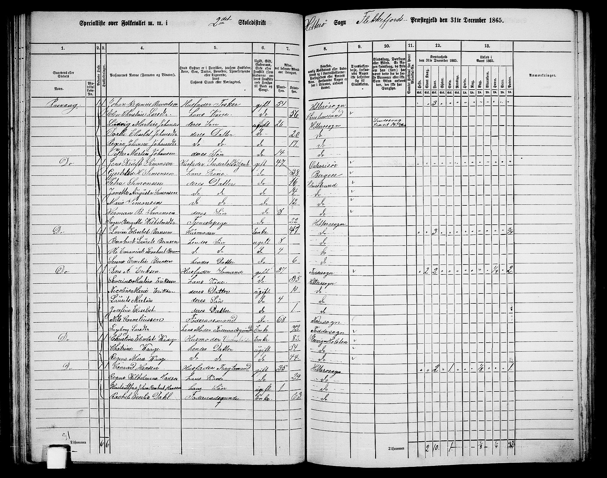 RA, 1865 census for Flekkefjord/Nes og Hidra, 1865, p. 50