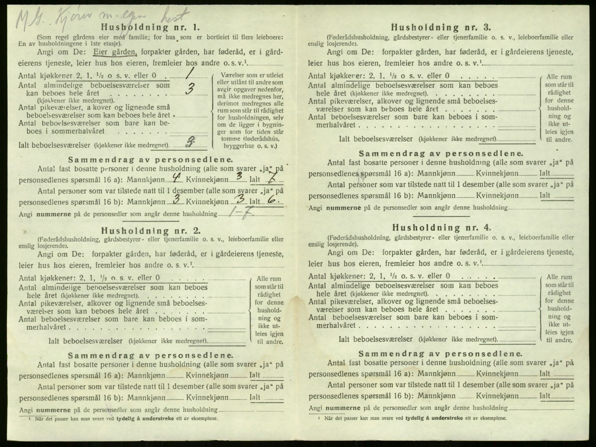 SAKO, 1920 census for Nøtterøy, 1920, p. 507