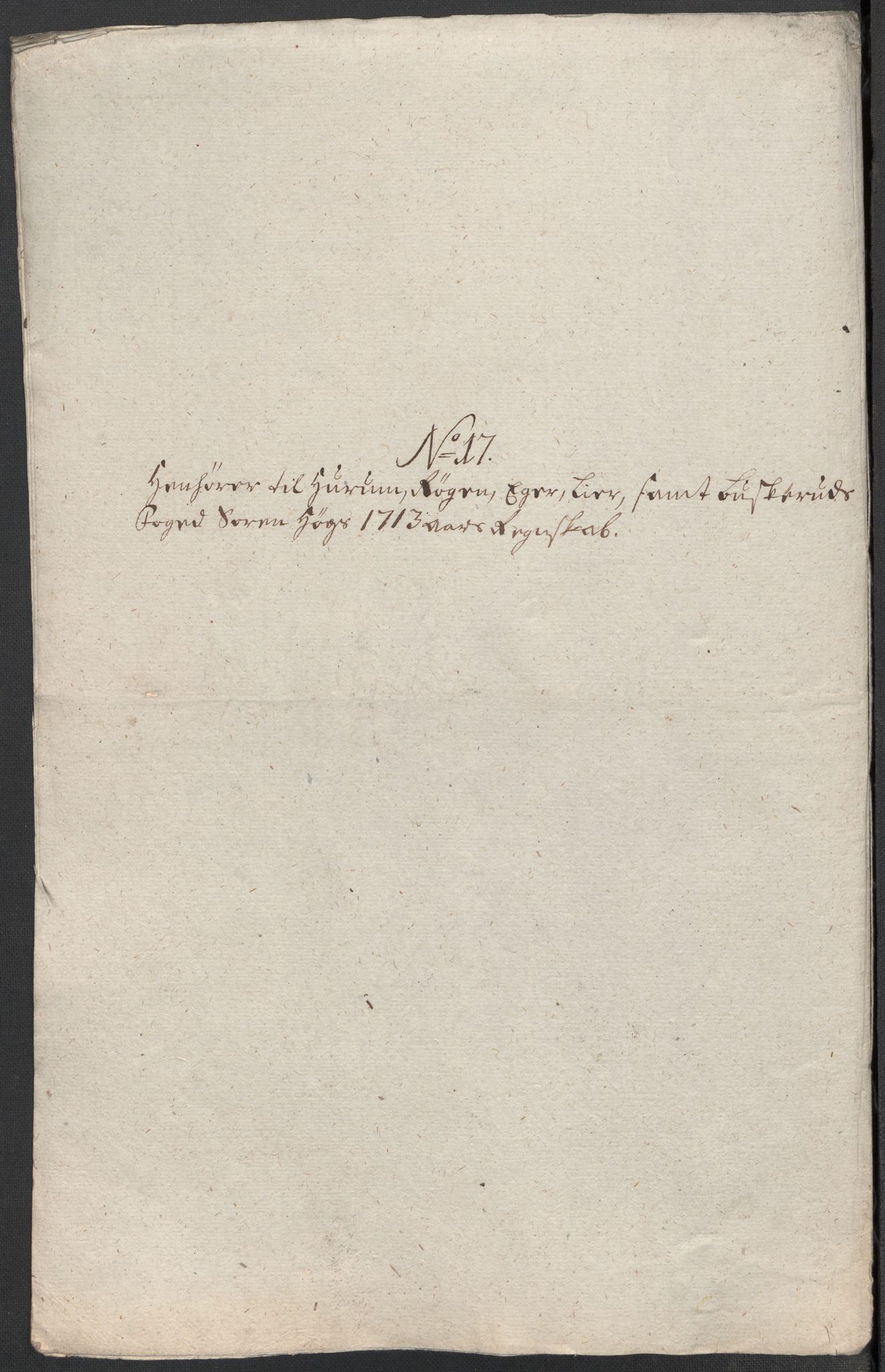 Rentekammeret inntil 1814, Reviderte regnskaper, Fogderegnskap, RA/EA-4092/R31/L1708: Fogderegnskap Hurum, Røyken, Eiker, Lier og Buskerud, 1713, p. 333