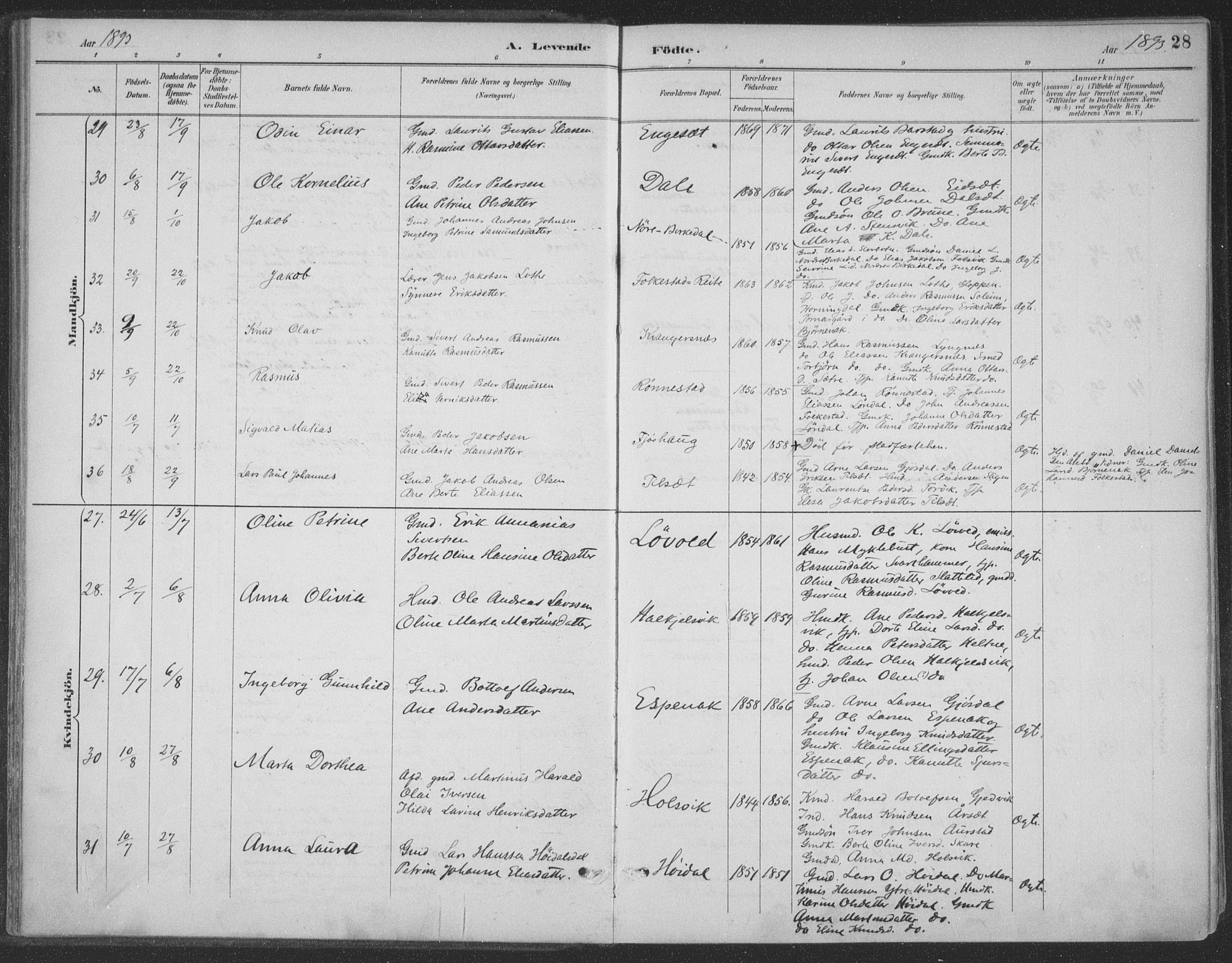 Ministerialprotokoller, klokkerbøker og fødselsregistre - Møre og Romsdal, AV/SAT-A-1454/511/L0142: Parish register (official) no. 511A09, 1891-1905, p. 28