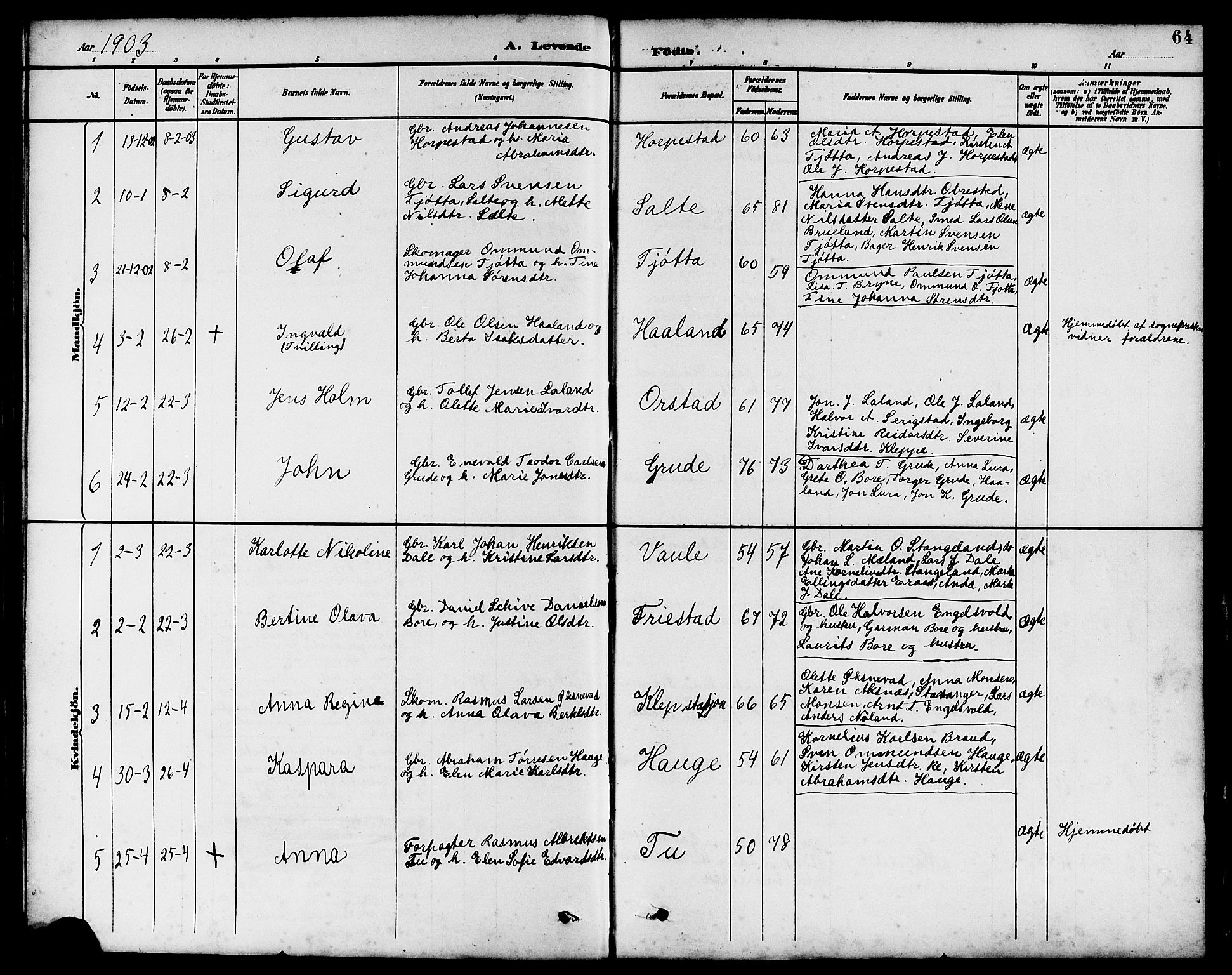 Klepp sokneprestkontor, SAST/A-101803/001/3/30BB/L0004: Parish register (copy) no. B 4, 1889-1914, p. 64