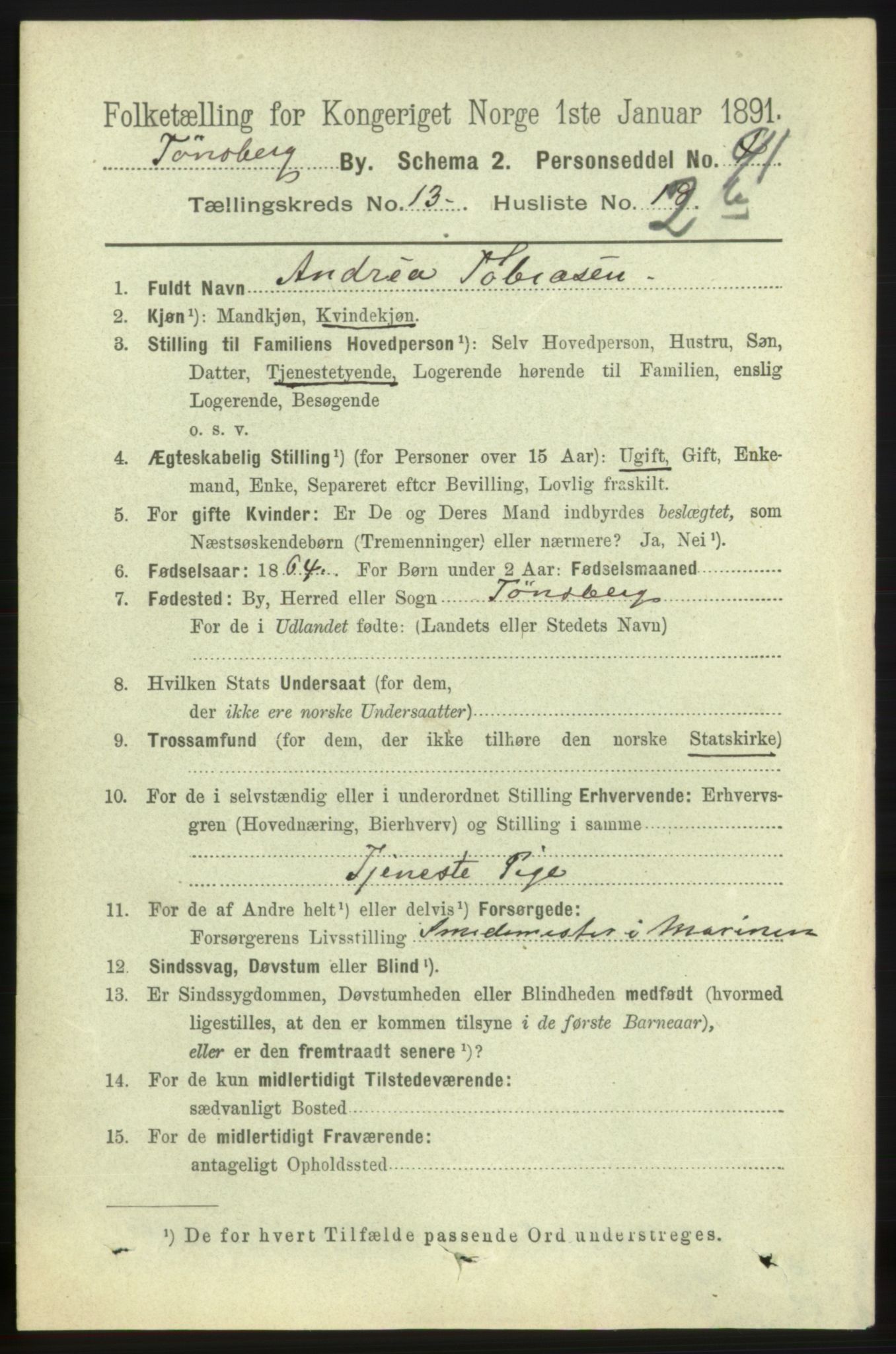 RA, 1891 census for 0705 Tønsberg, 1891, p. 4510