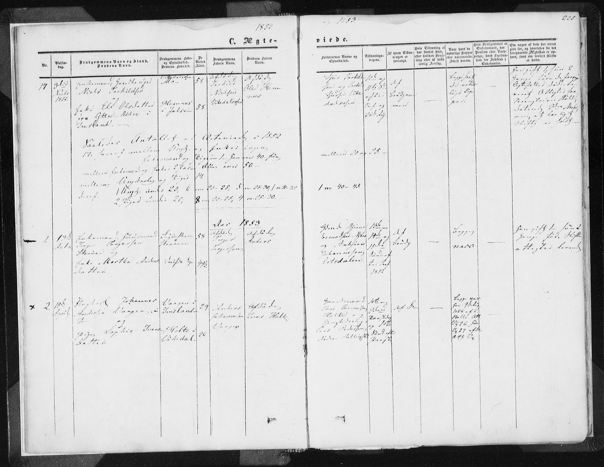 Vikedal sokneprestkontor, AV/SAST-A-101840/01/IV: Parish register (official) no. A 6.2, 1851-1867, p. 225