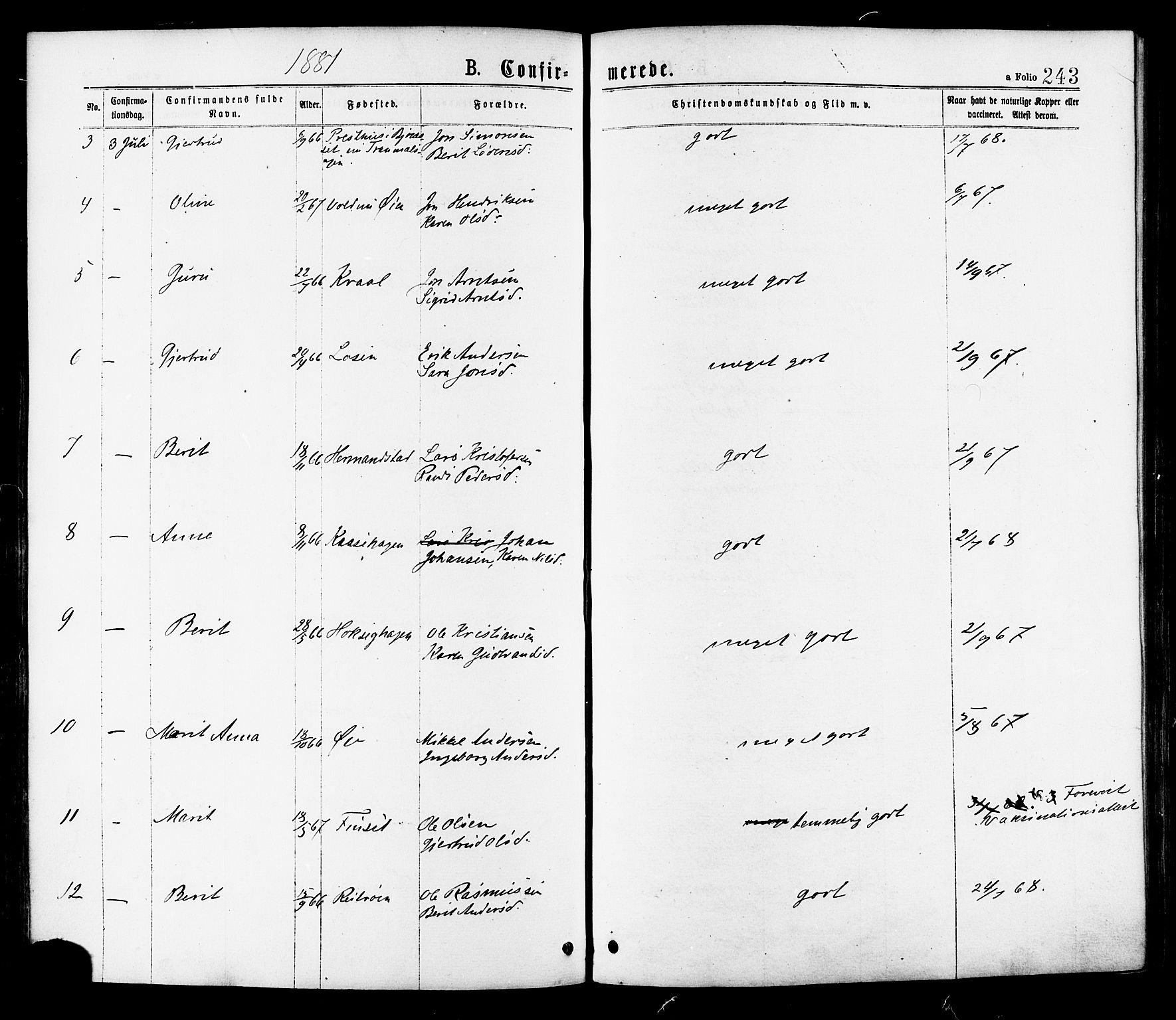 Ministerialprotokoller, klokkerbøker og fødselsregistre - Sør-Trøndelag, AV/SAT-A-1456/691/L1079: Parish register (official) no. 691A11, 1873-1886, p. 243