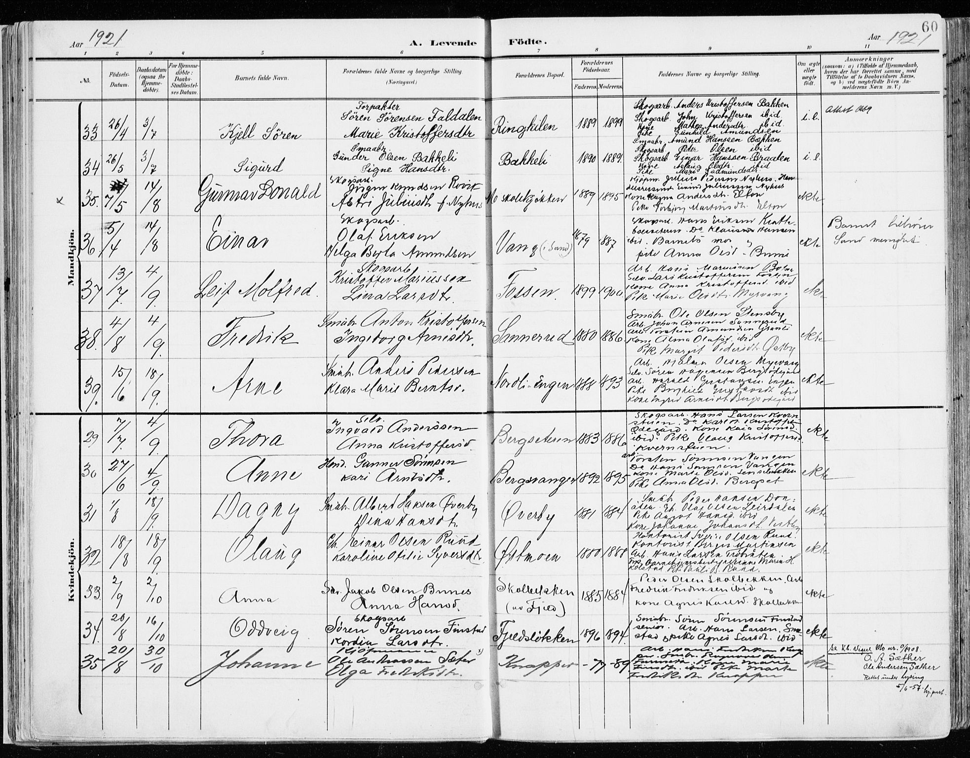 Nord-Odal prestekontor, SAH/PREST-032/H/Ha/Haa/L0009: Parish register (official) no. 9, 1902-1926, p. 60